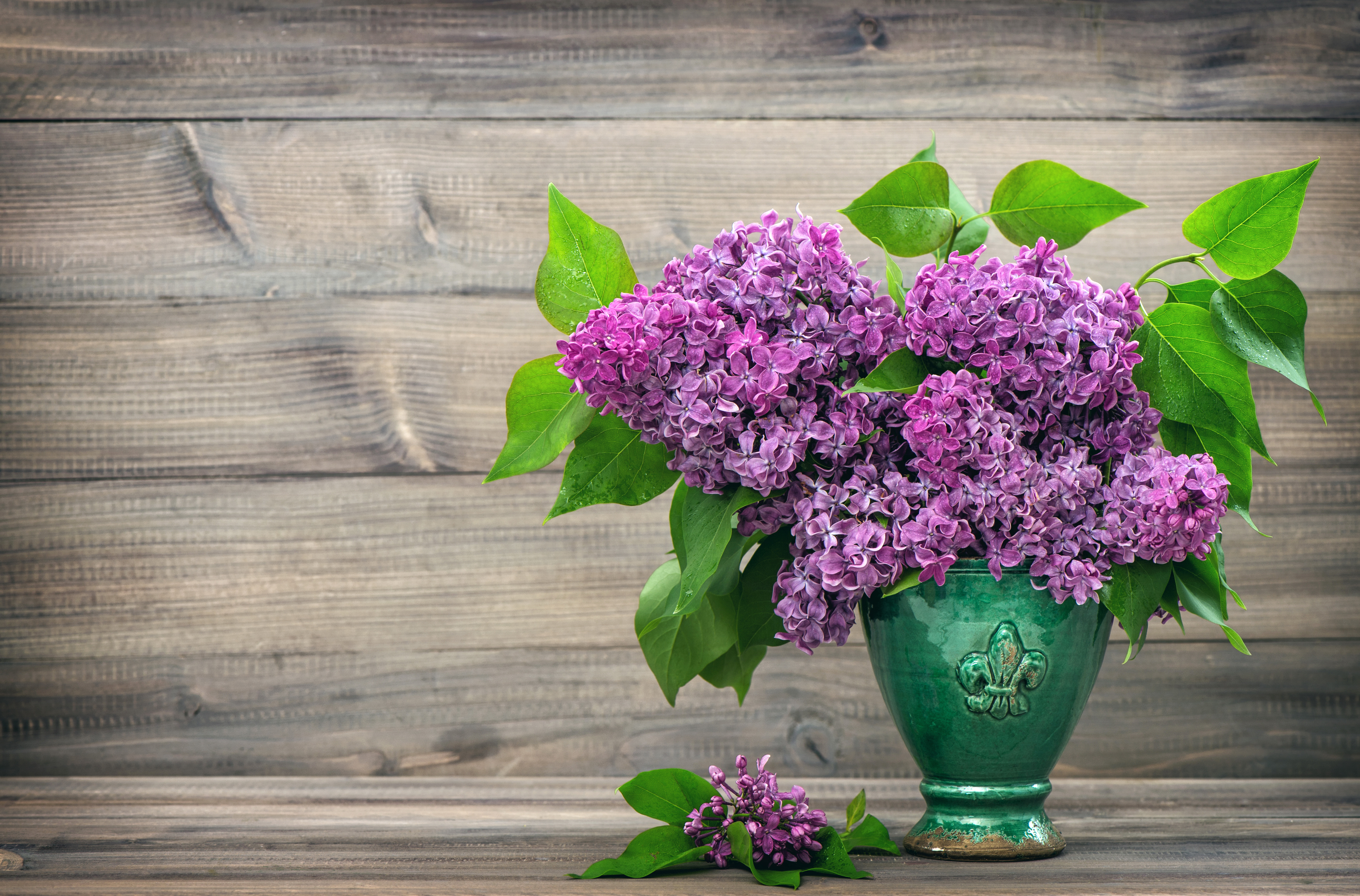 無料モバイル壁紙ライラック, 静物, 花, 花瓶, マンメイド, 紫色の花をダウンロードします。