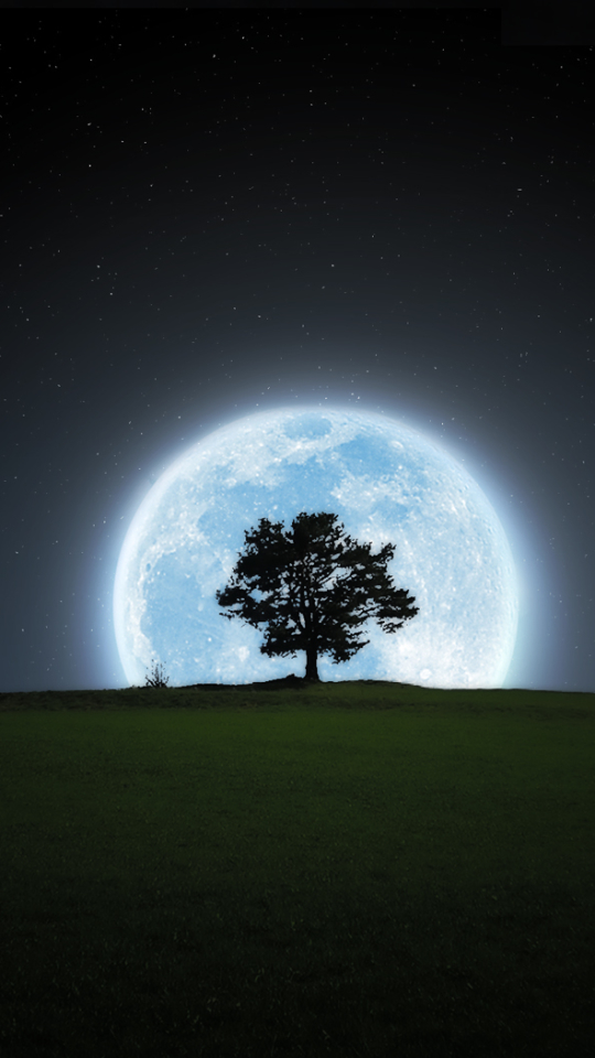 Download mobile wallpaper Night, Moon, Silhouette, Tree, Earth for free.