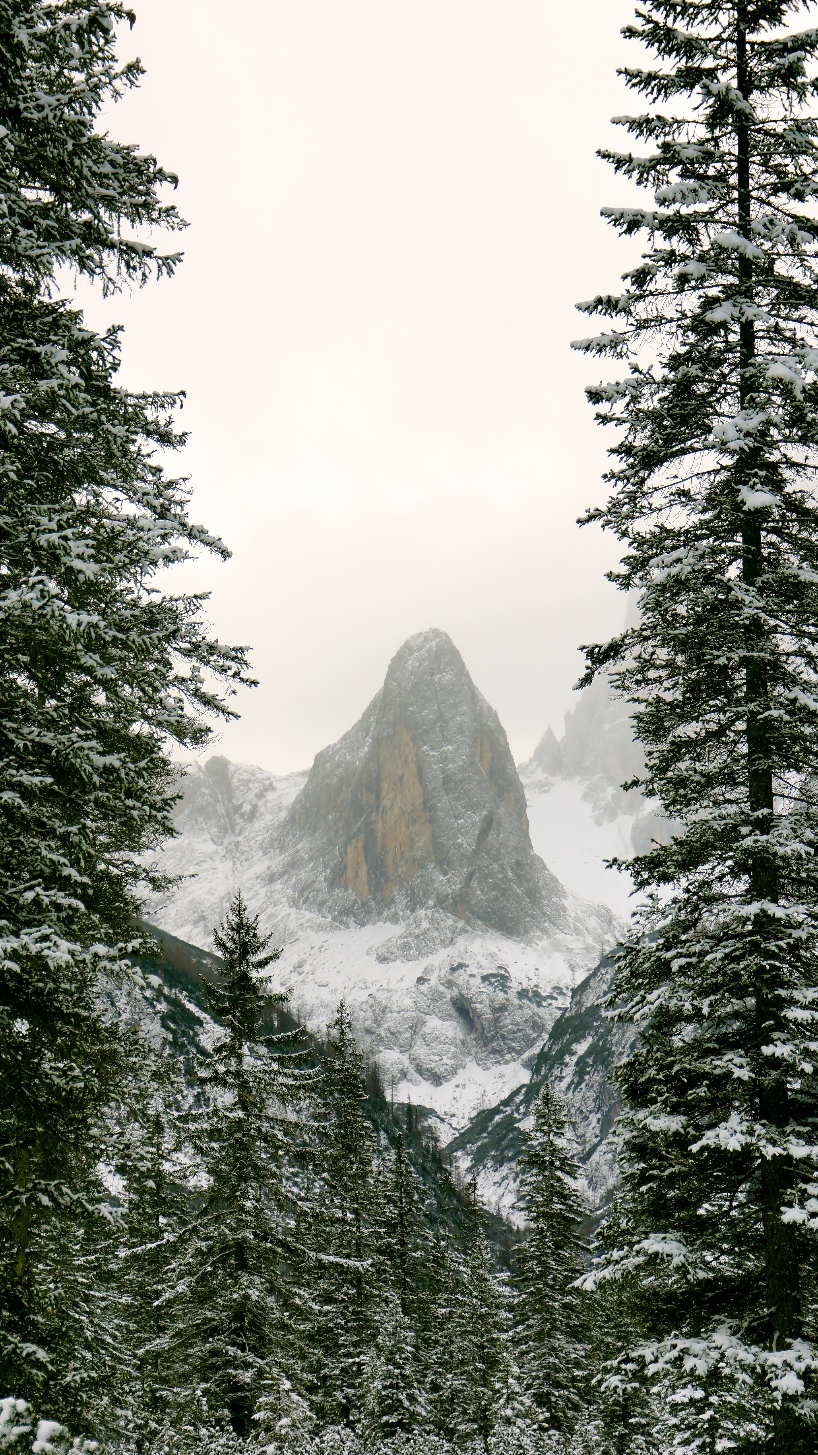 Скачать картинку Холм, Гора, Снег, Природа, Ветки в телефон бесплатно.