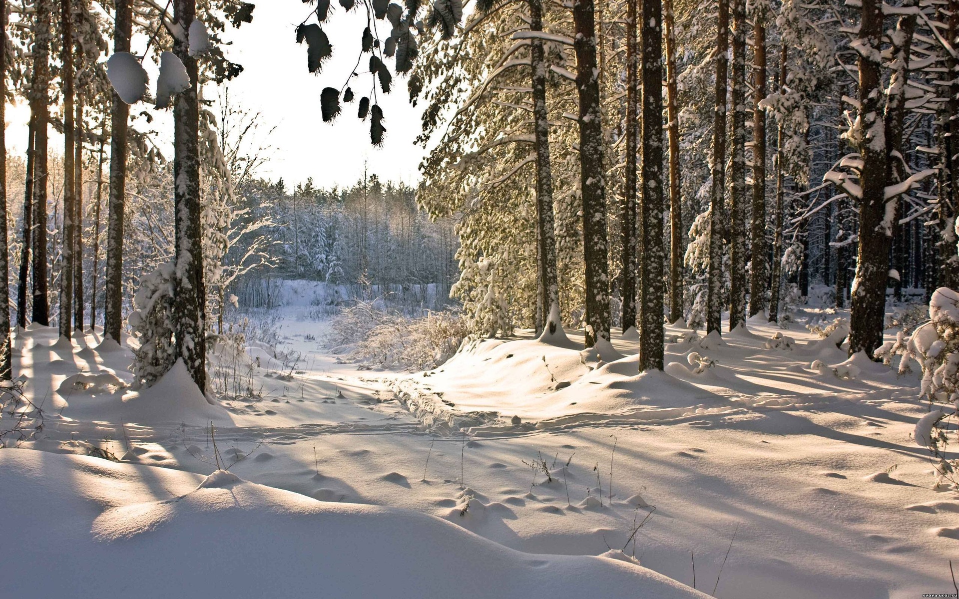 Скачати мобільні шпалери Зима, Земля безкоштовно.