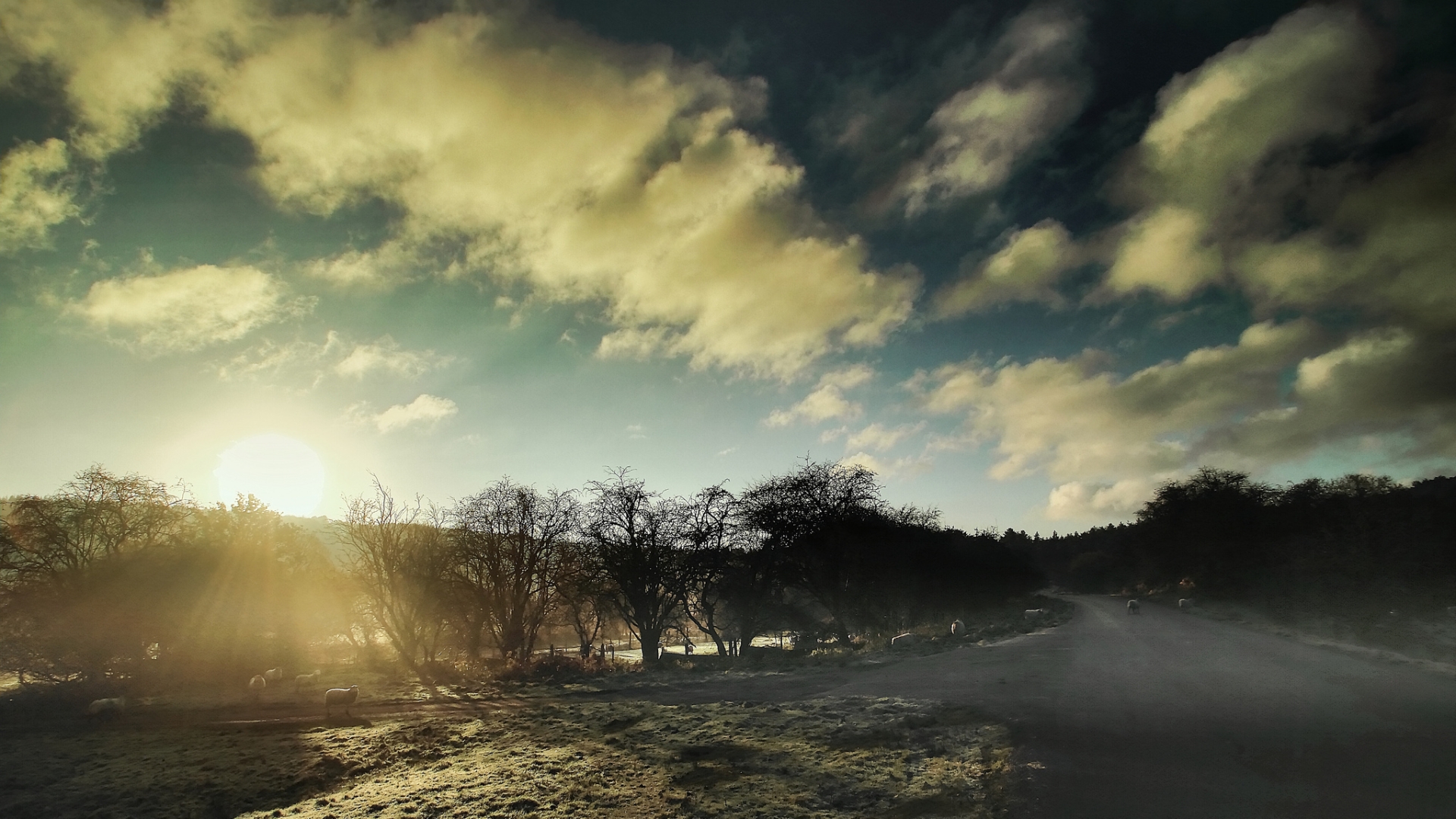 Handy-Wallpaper Landschaft, Erde/natur kostenlos herunterladen.