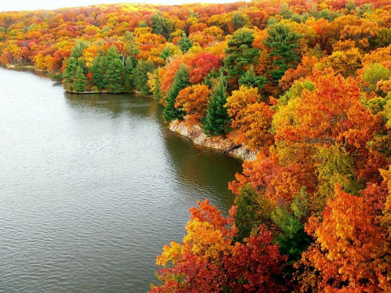 36062 завантажити шпалери пейзаж, річка, осінь - заставки і картинки безкоштовно