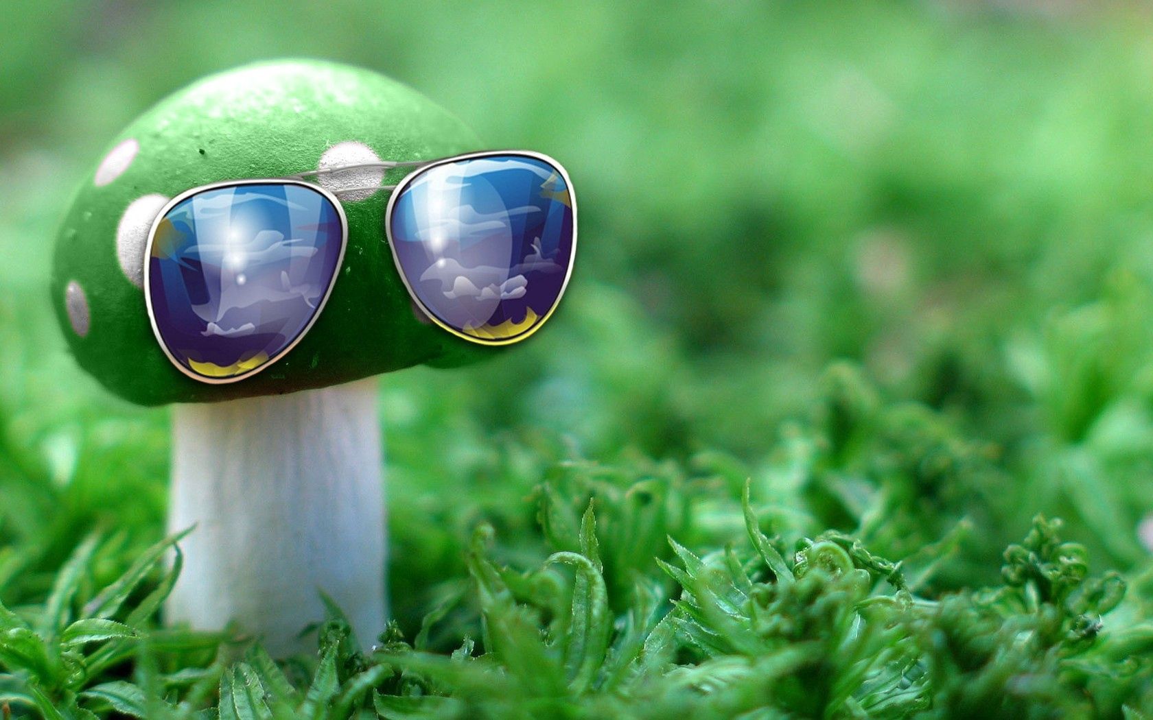119833 скачать картинку идея, гриб, креатив, трава, разное, необычный, солнцезащитные очки - обои и заставки бесплатно