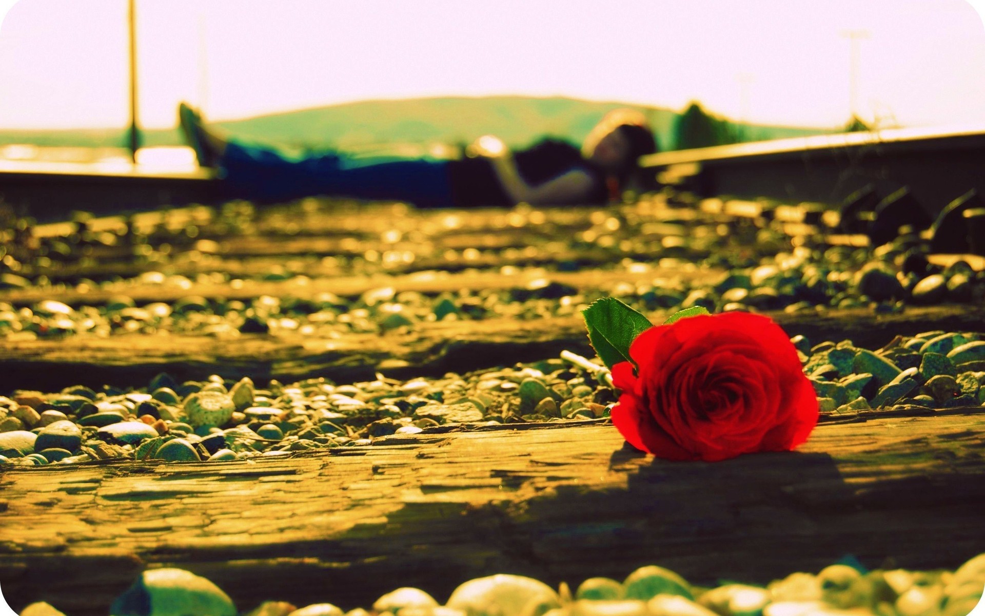 Free download wallpaper Flower, Dark, Rose, Sad, Mood, Railroad, Emo on your PC desktop