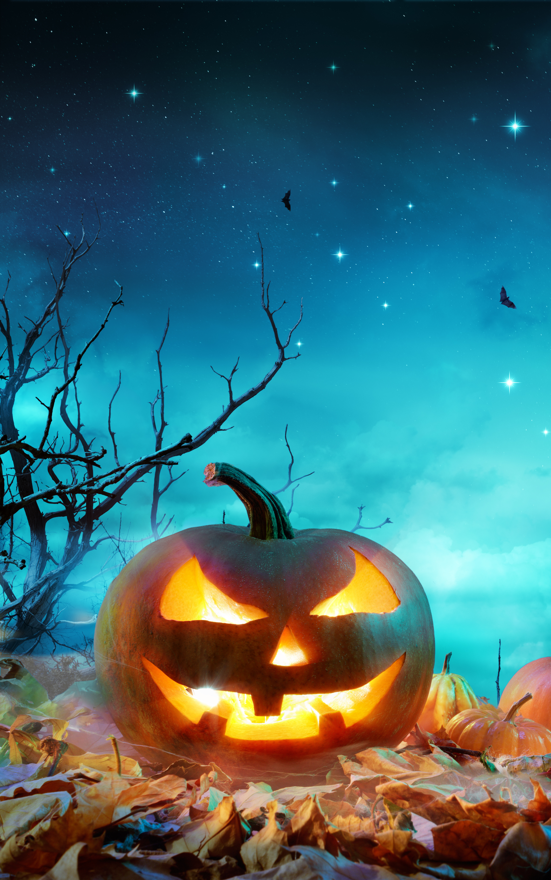 Handy-Wallpaper Feiertage, Halloween, Jack O' Laterne, Kürbislaterne kostenlos herunterladen.