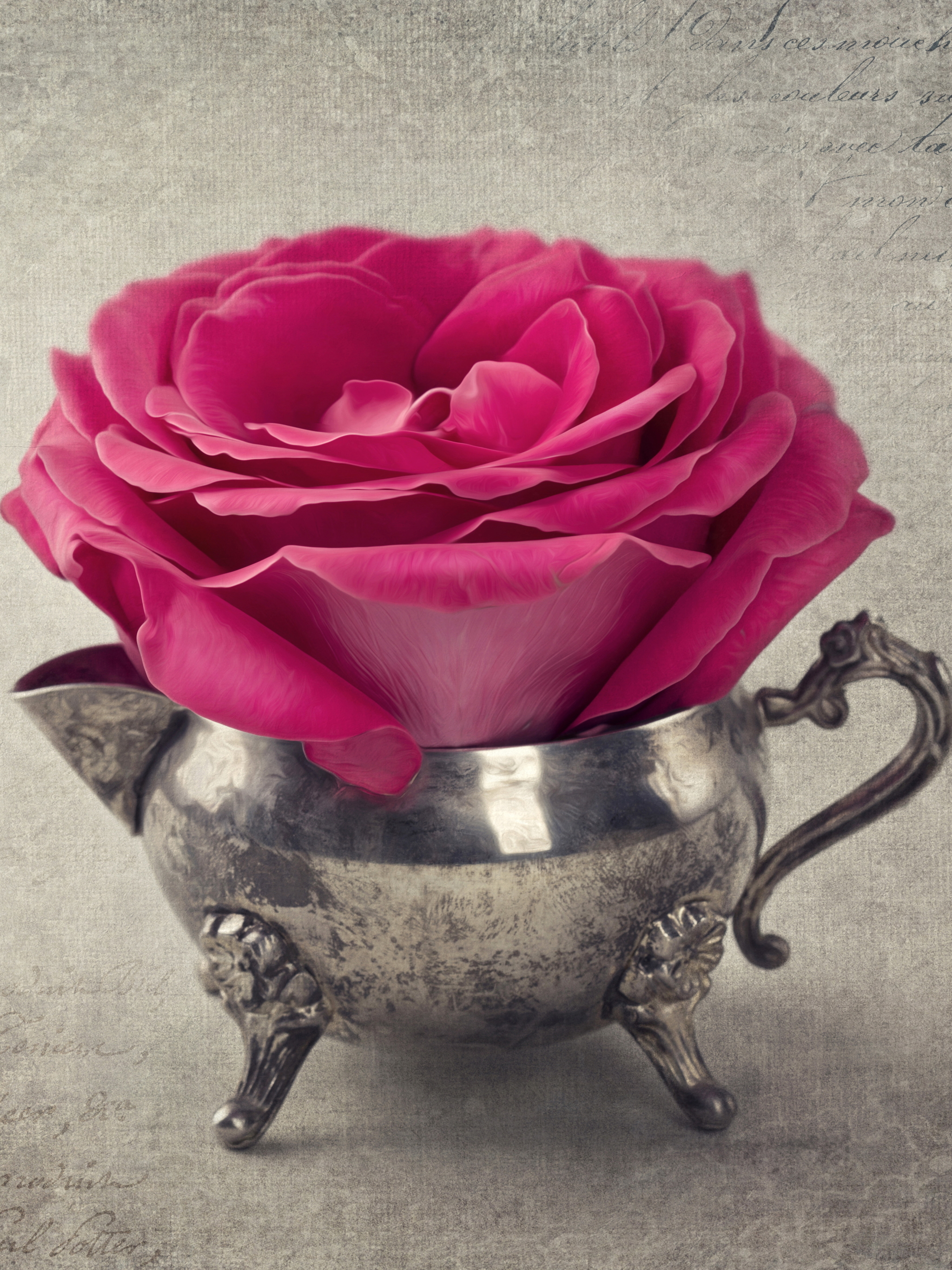 Handy-Wallpaper Blume, Rose, Vase, Menschengemacht, Pinke Blume, Stillleben kostenlos herunterladen.