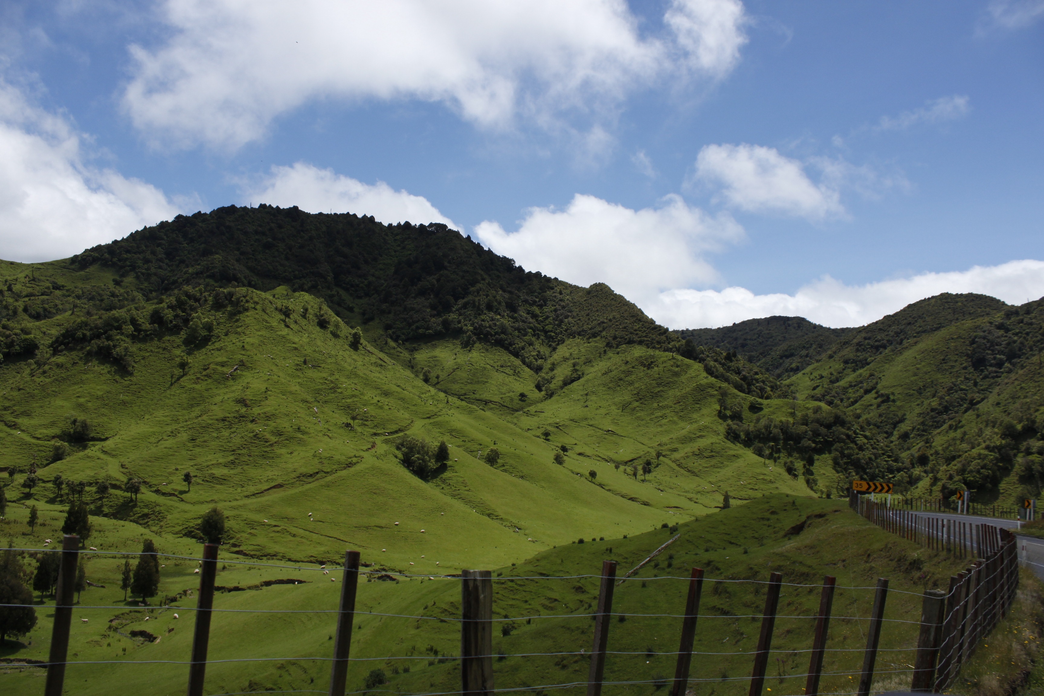 Скачать обои бесплатно Холм, Трава, Природа, Горы, Новая Зеландия картинка на рабочий стол ПК