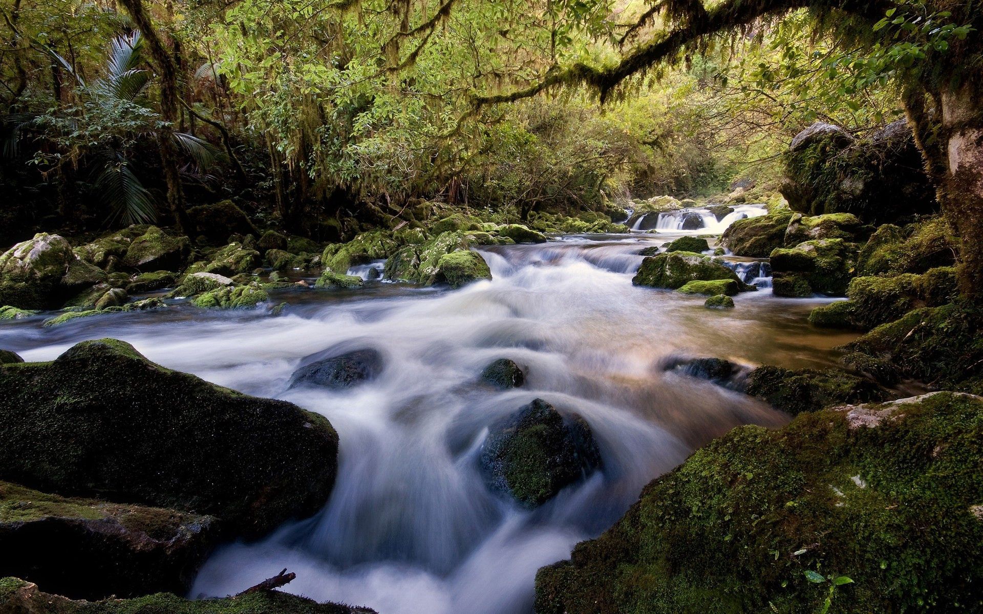 Free download wallpaper Water, Rivers, Stones, Forest, Vegetation, Flow, Moss, Stream, Nature on your PC desktop