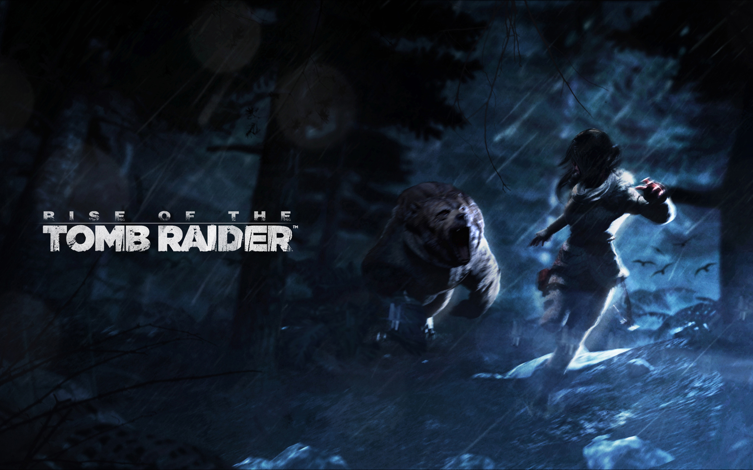 video game, rise of the tomb raider, tomb raider