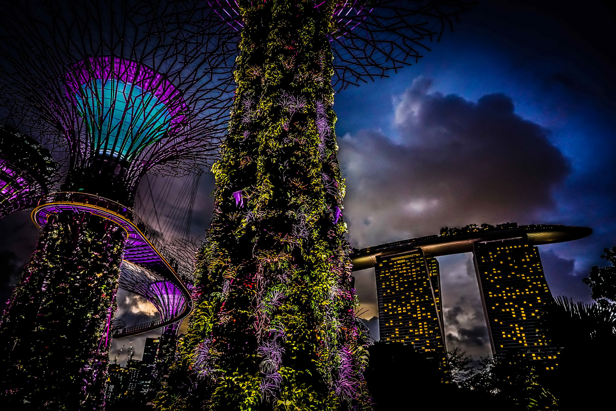 Скачать обои бесплатно Ночь, Свет, Дерево, Здание, Сингапур, Сделано Человеком, Marina Bay Sands картинка на рабочий стол ПК