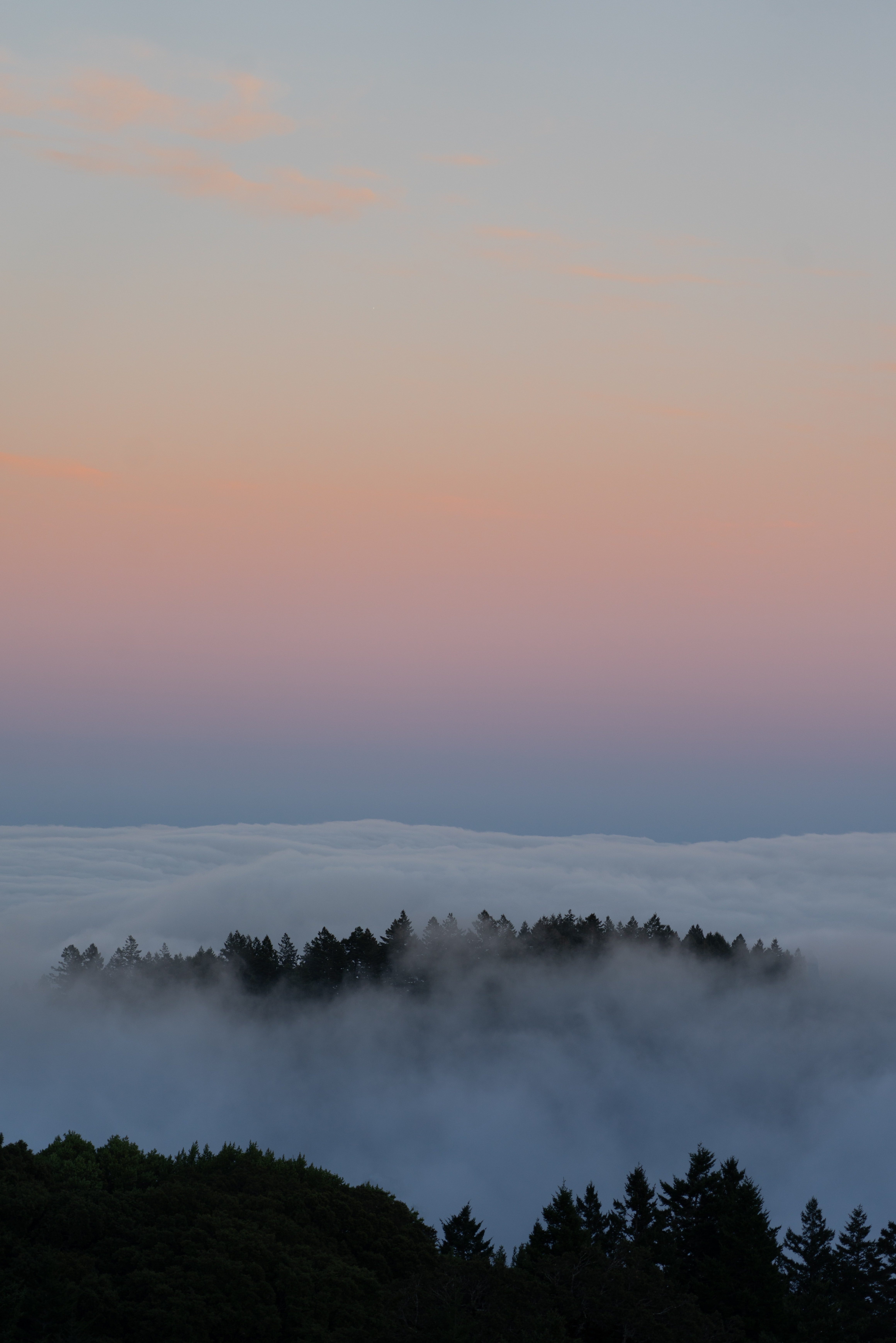 Скачать картинку Облака, Туман, Деревья, Лес, Природа в телефон бесплатно.