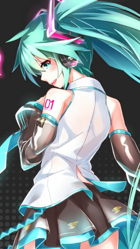 Download mobile wallpaper Anime, Vocaloid, Hatsune Miku for free.