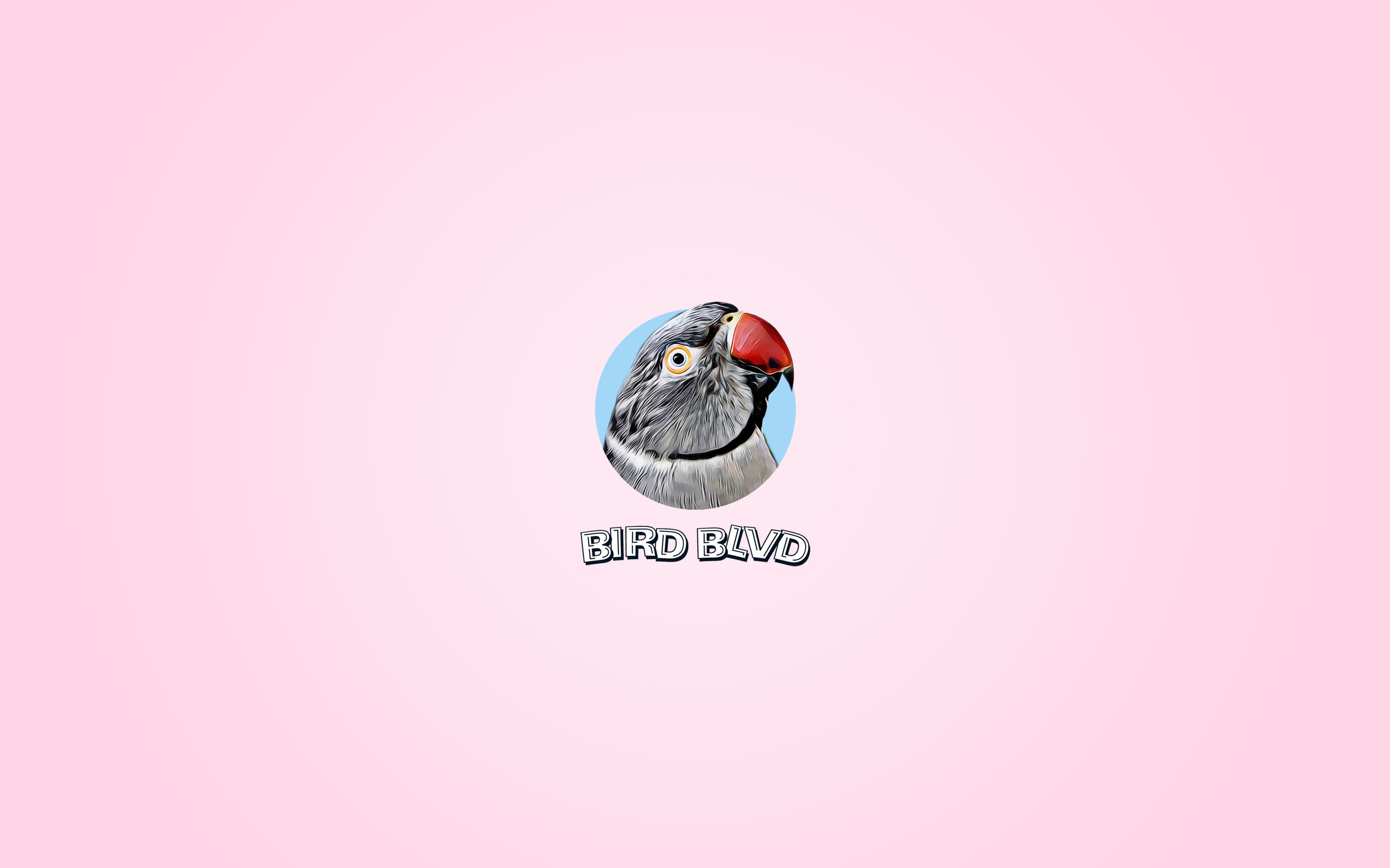 Laden Sie das Tiere, Vögel, Rosa, Vogel, Sittich, Rosenringsittich-Bild kostenlos auf Ihren PC-Desktop herunter