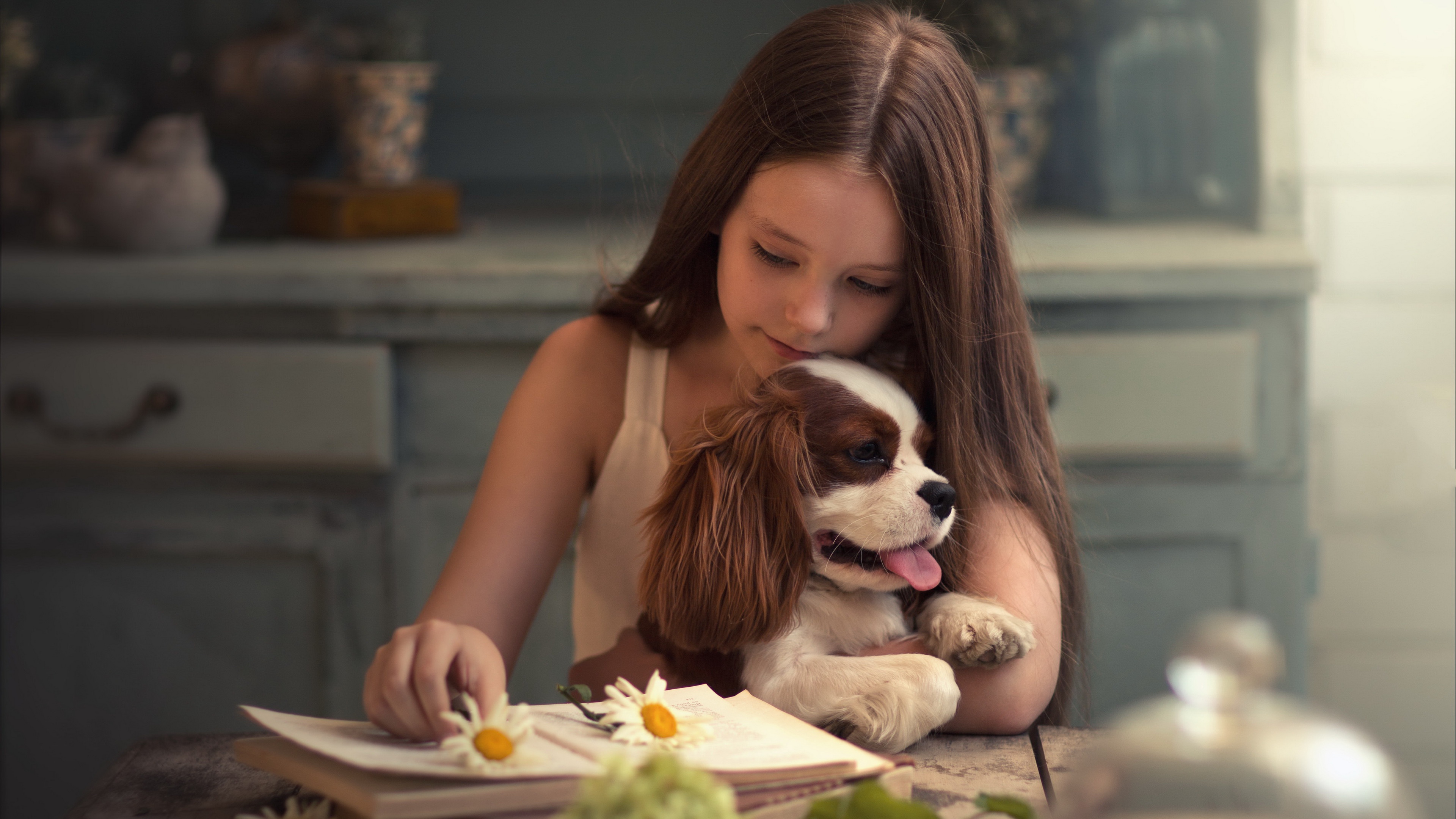 PCデスクトップに犬, 子, 写真撮影画像を無料でダウンロード