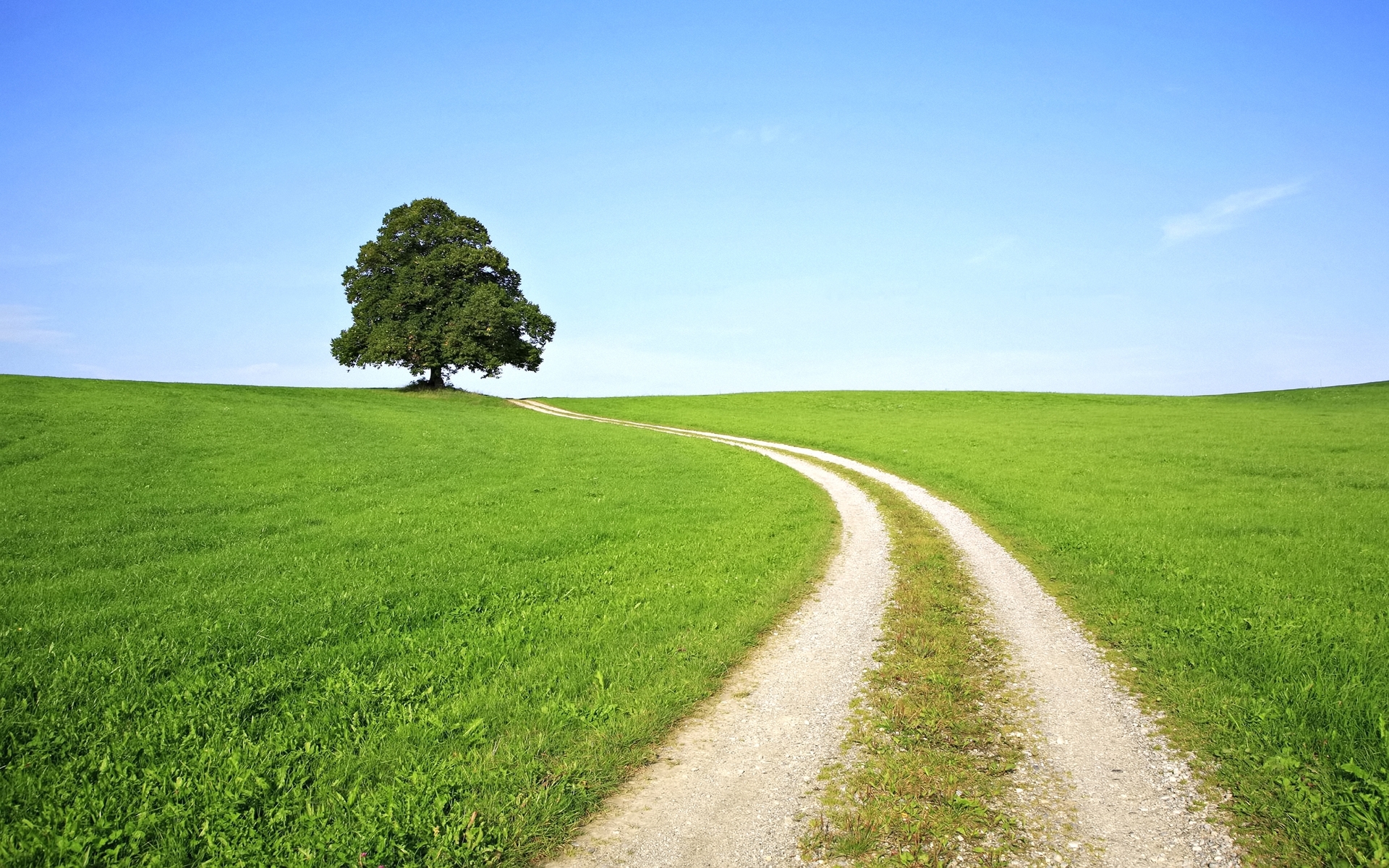 Download mobile wallpaper Grass, Roads, Landscape, Trees for free.