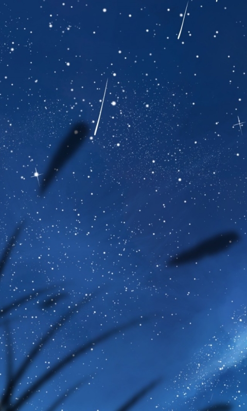 Download mobile wallpaper Anime, Sky, Stars, Shooting Star for free.
