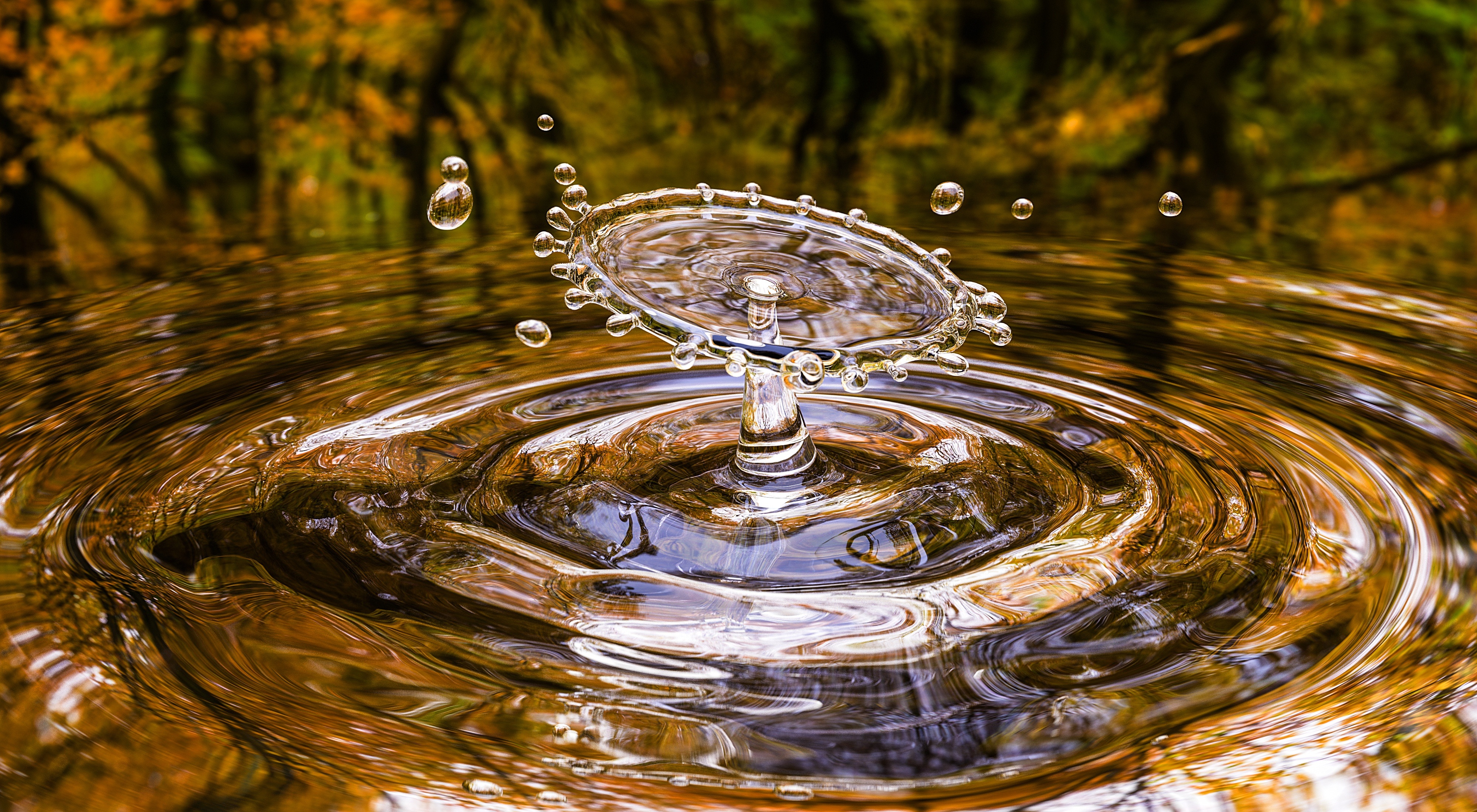 water, macro, splash, drops, circles, spray High Definition image