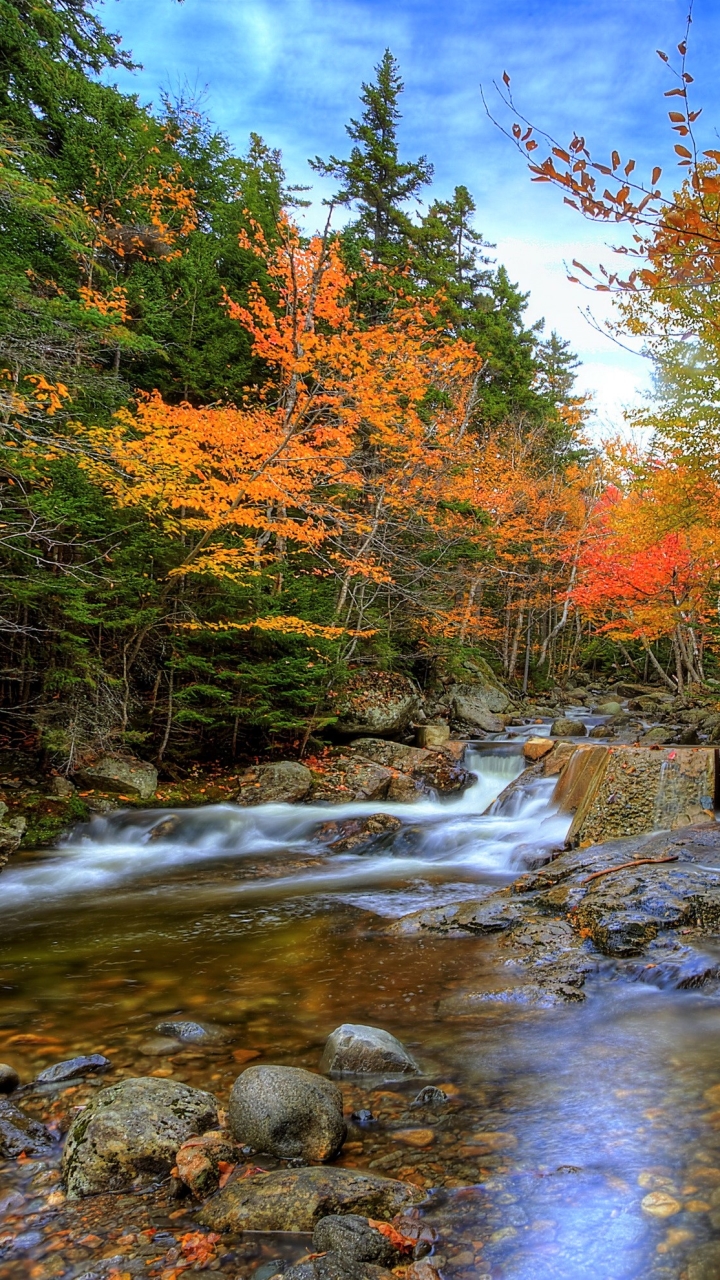 Скачать картинку Осень, Водопады, Водопад, Лес, Ручей, Падать, Земля/природа в телефон бесплатно.