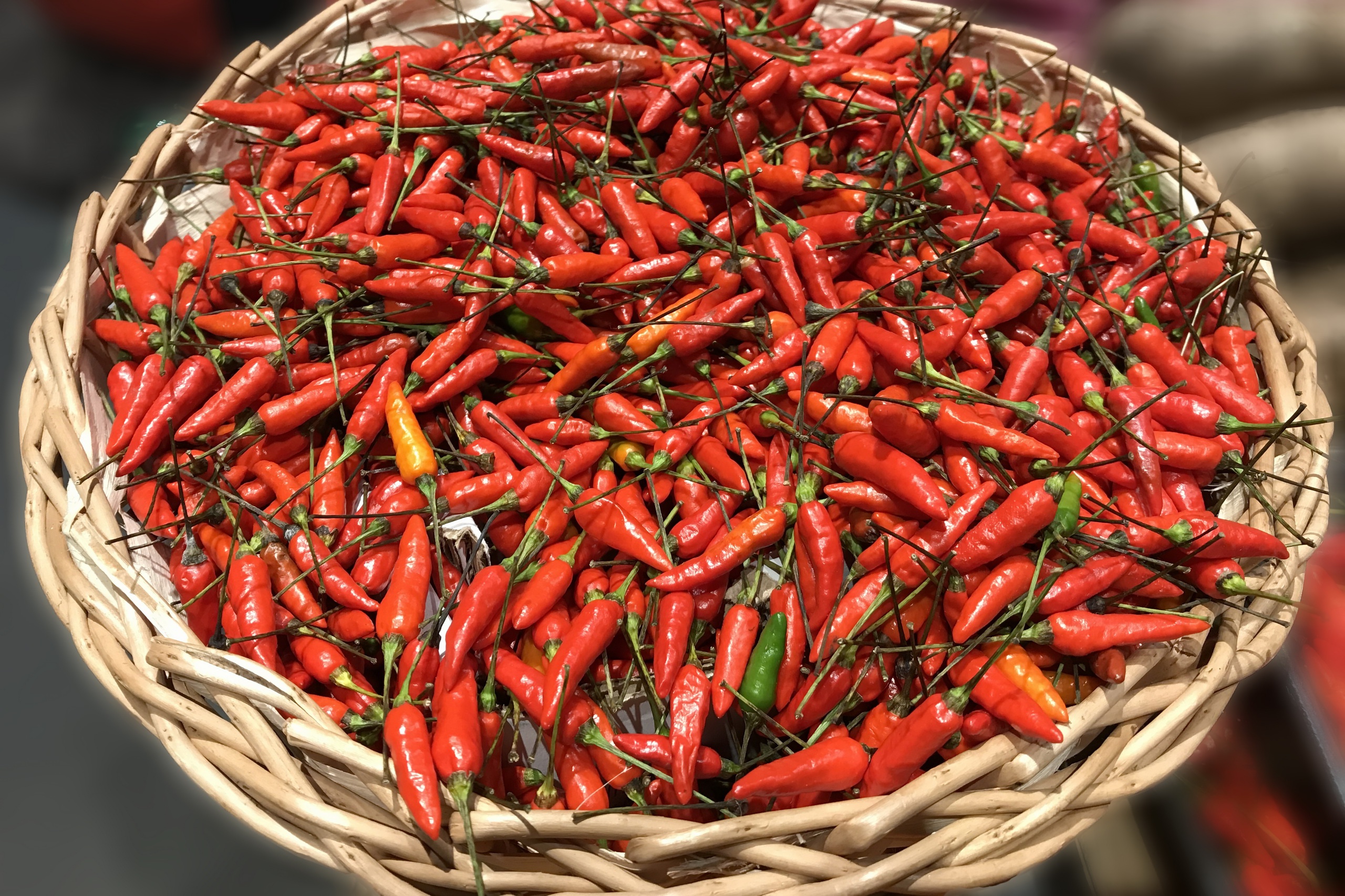 Baixe gratuitamente a imagem Comida, Pimenta na área de trabalho do seu PC