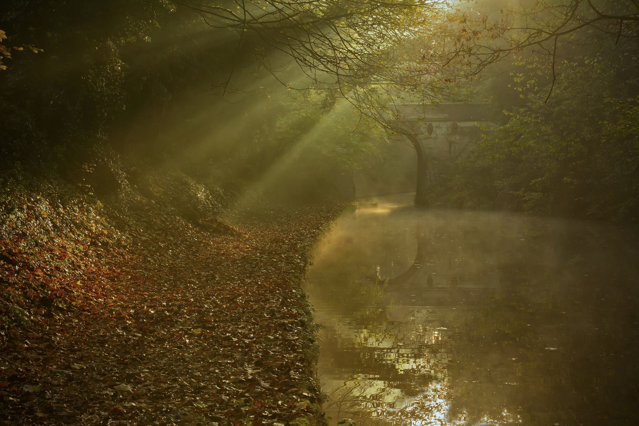 Descarga gratis la imagen Naturaleza, Rio, Puente, Rayo De Sol, Tierra/naturaleza, Reflejo en el escritorio de tu PC