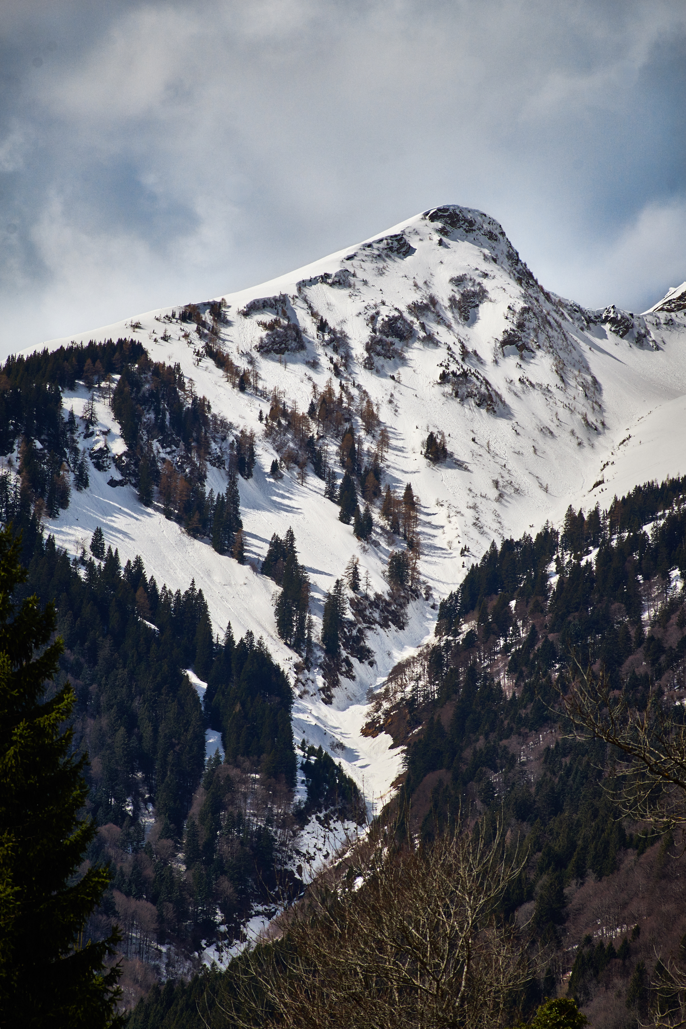 Скачать картинку Гора, Снег, Вершина, Деревья, Природа в телефон бесплатно.
