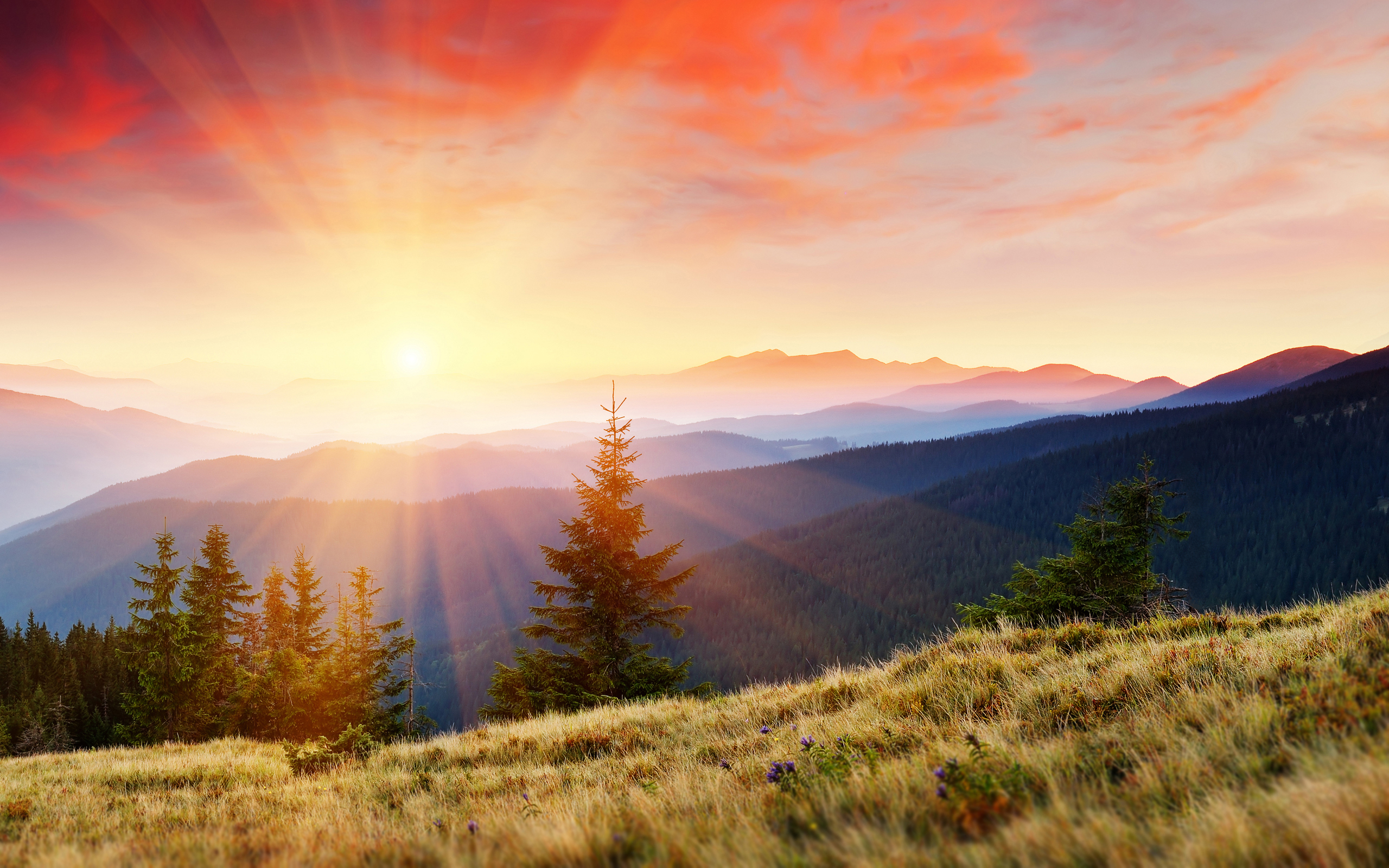 Laden Sie das Sun, Landschaft, Bäume, Mountains-Bild kostenlos auf Ihren PC-Desktop herunter