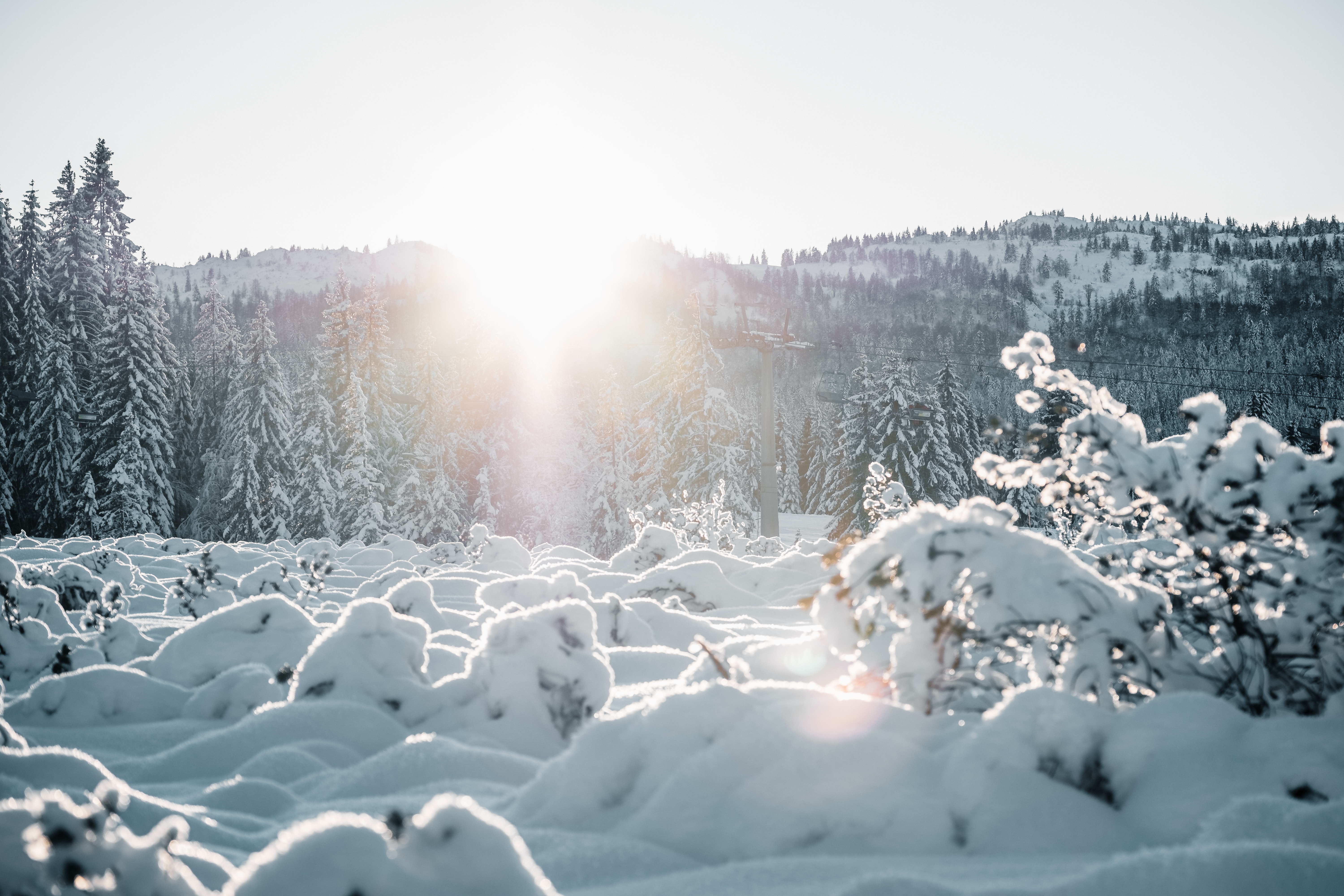 Download mobile wallpaper Winter, Landscape, Trees, Snow, Nature, Sun for free.