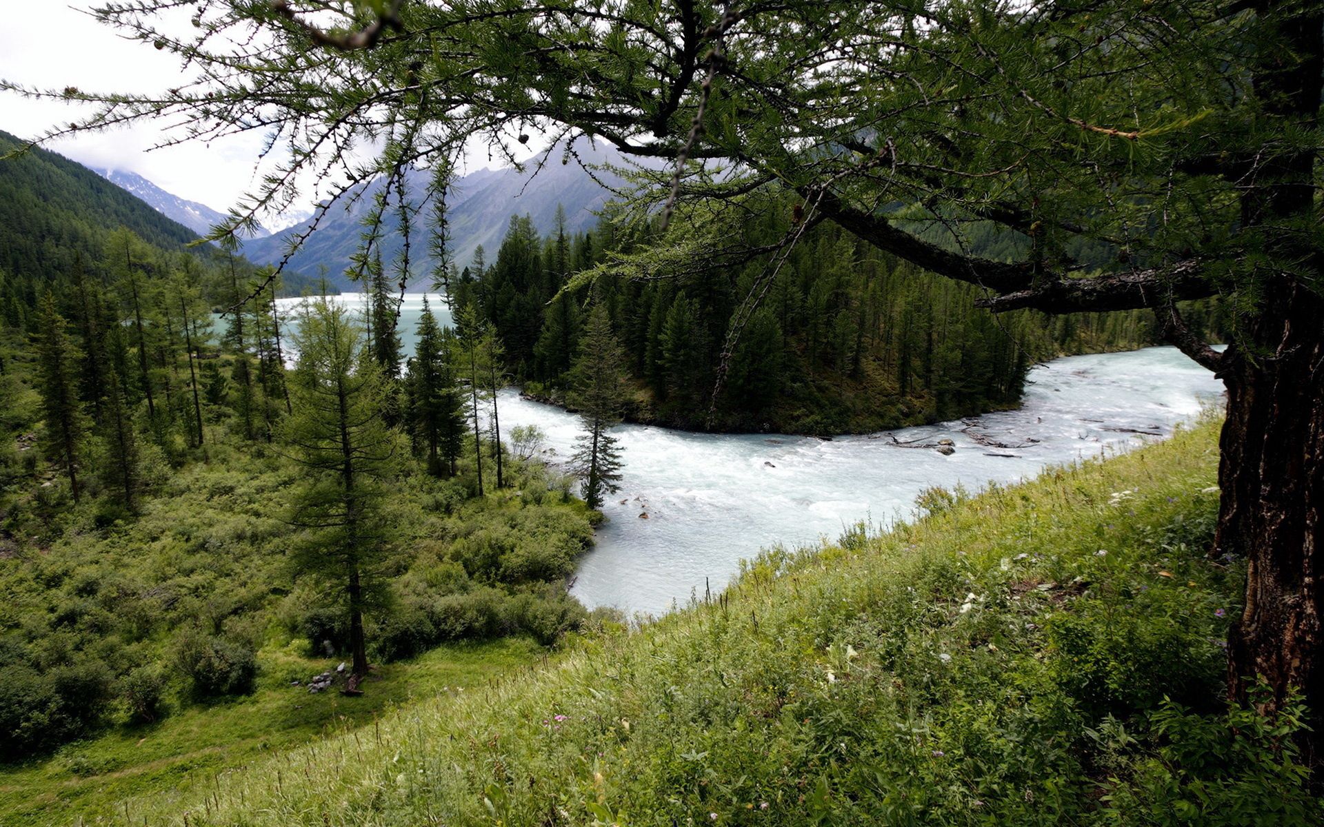 Завантажити шпалери Гірська Річка на телефон безкоштовно