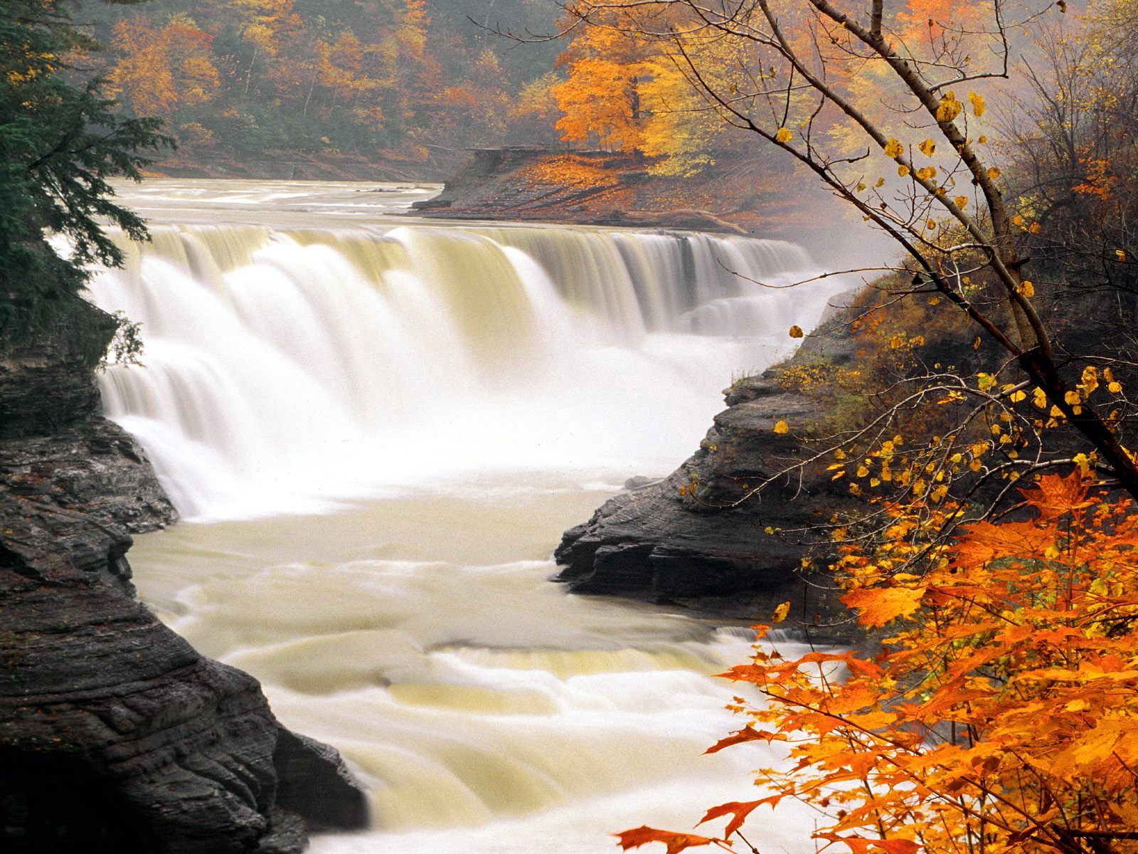 Скачать картинку Водопад, Природа, Течение, Листья, Осень в телефон бесплатно.