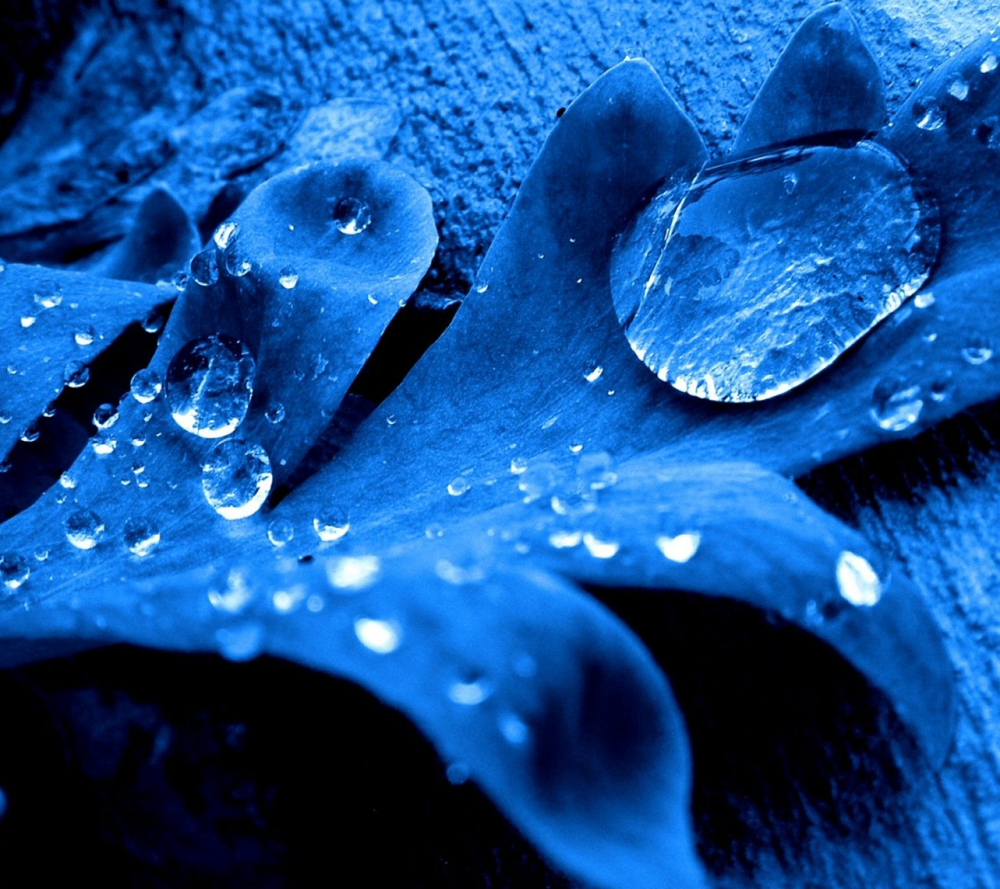 無料モバイル壁紙自然, 水, 大きい, 青い, 地球, 水滴をダウンロードします。