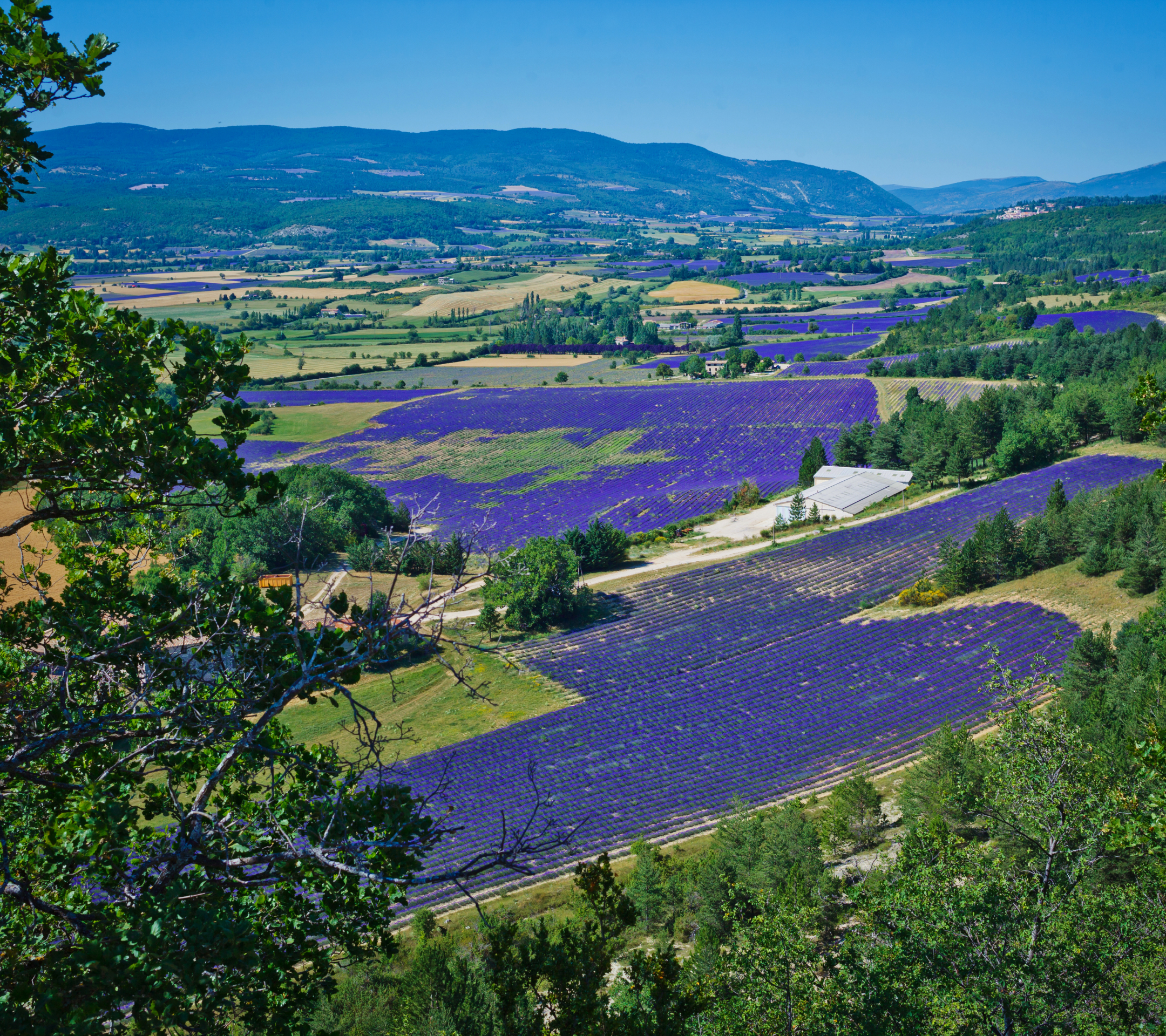 Free download wallpaper Landscape, Field, France, Panorama, Valley, Lavender, Photography on your PC desktop