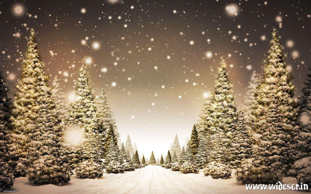 無料モバイル壁紙風景, 雪, モミの木, 冬をダウンロードします。