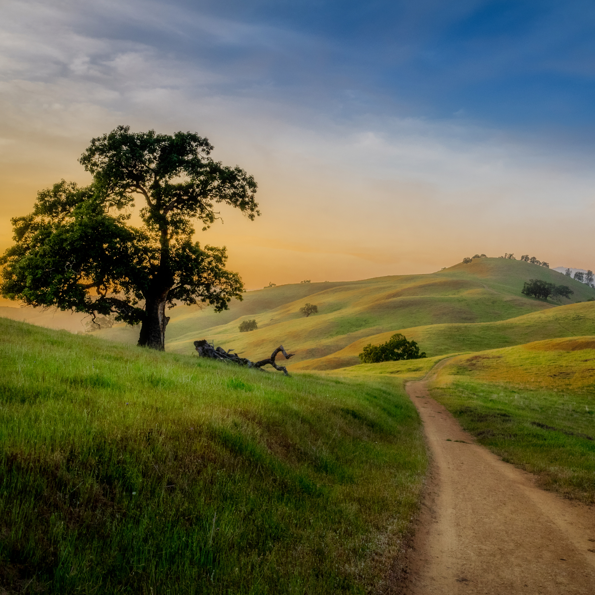 Free download wallpaper Landscape, Tree, Earth, Path, Hill, Spring on your PC desktop