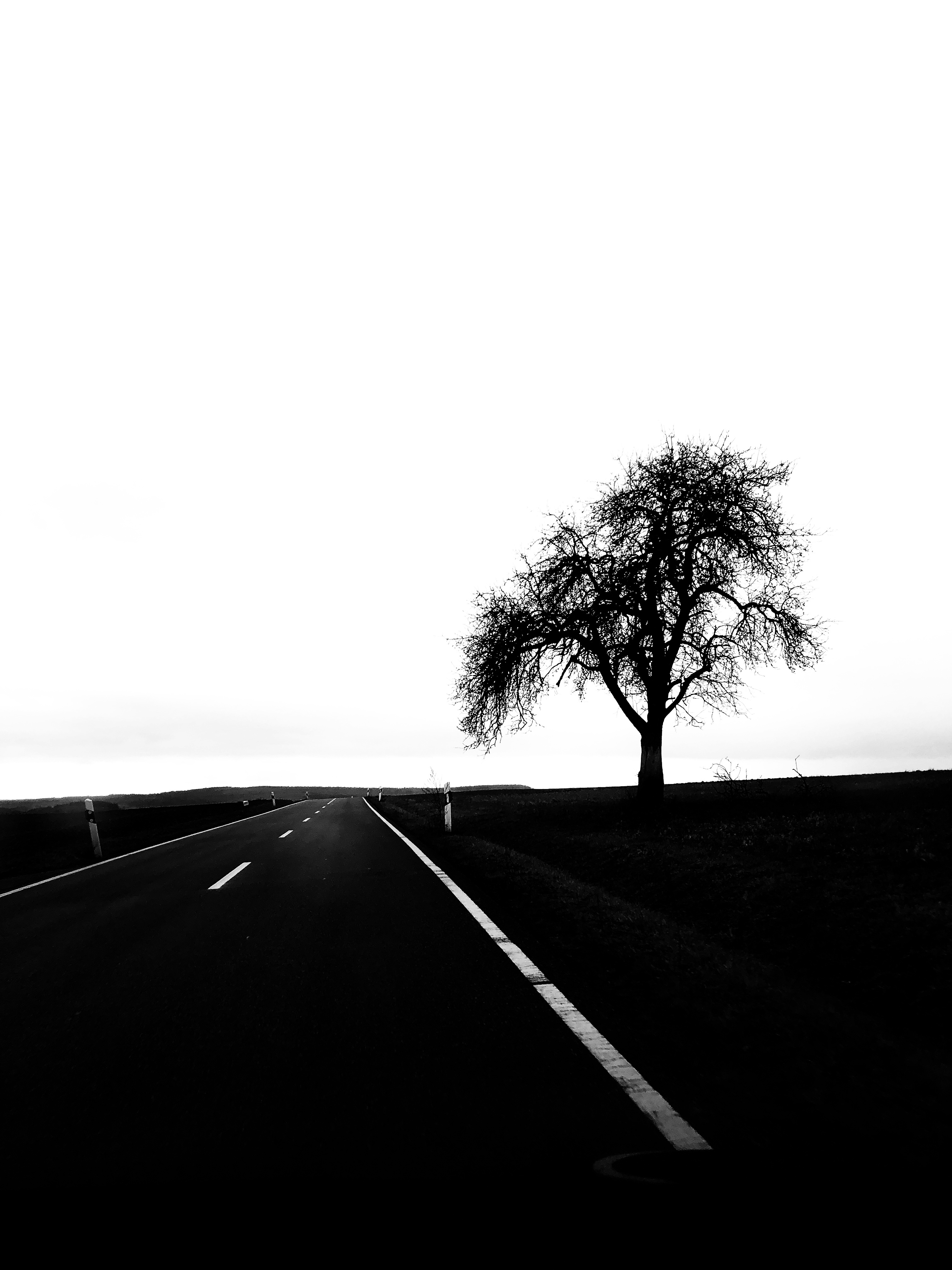 minimalism, road, chb, landscape, wood, tree, bw