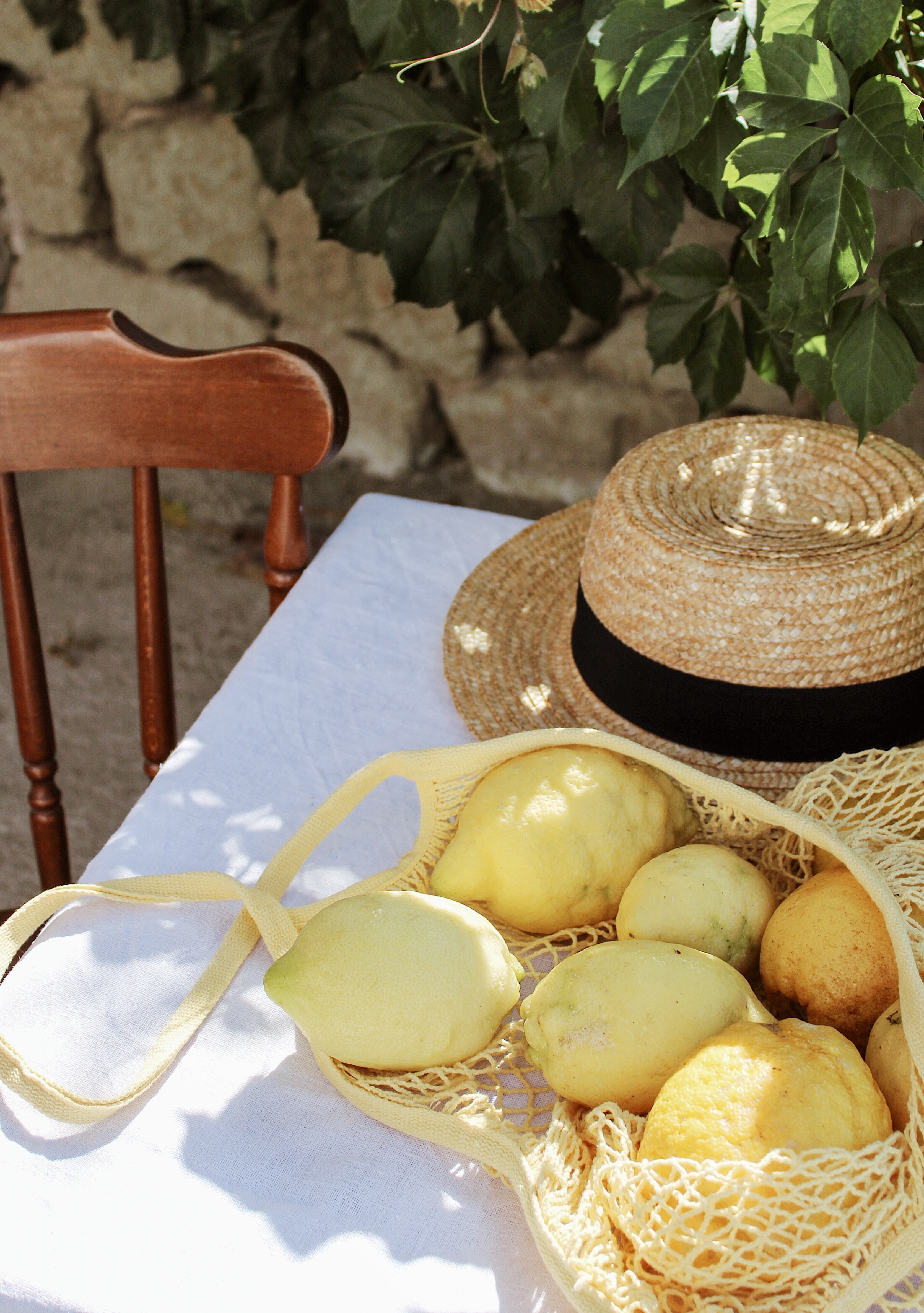 lemons, miscellanea, miscellaneous, table, citrus, bag, hat