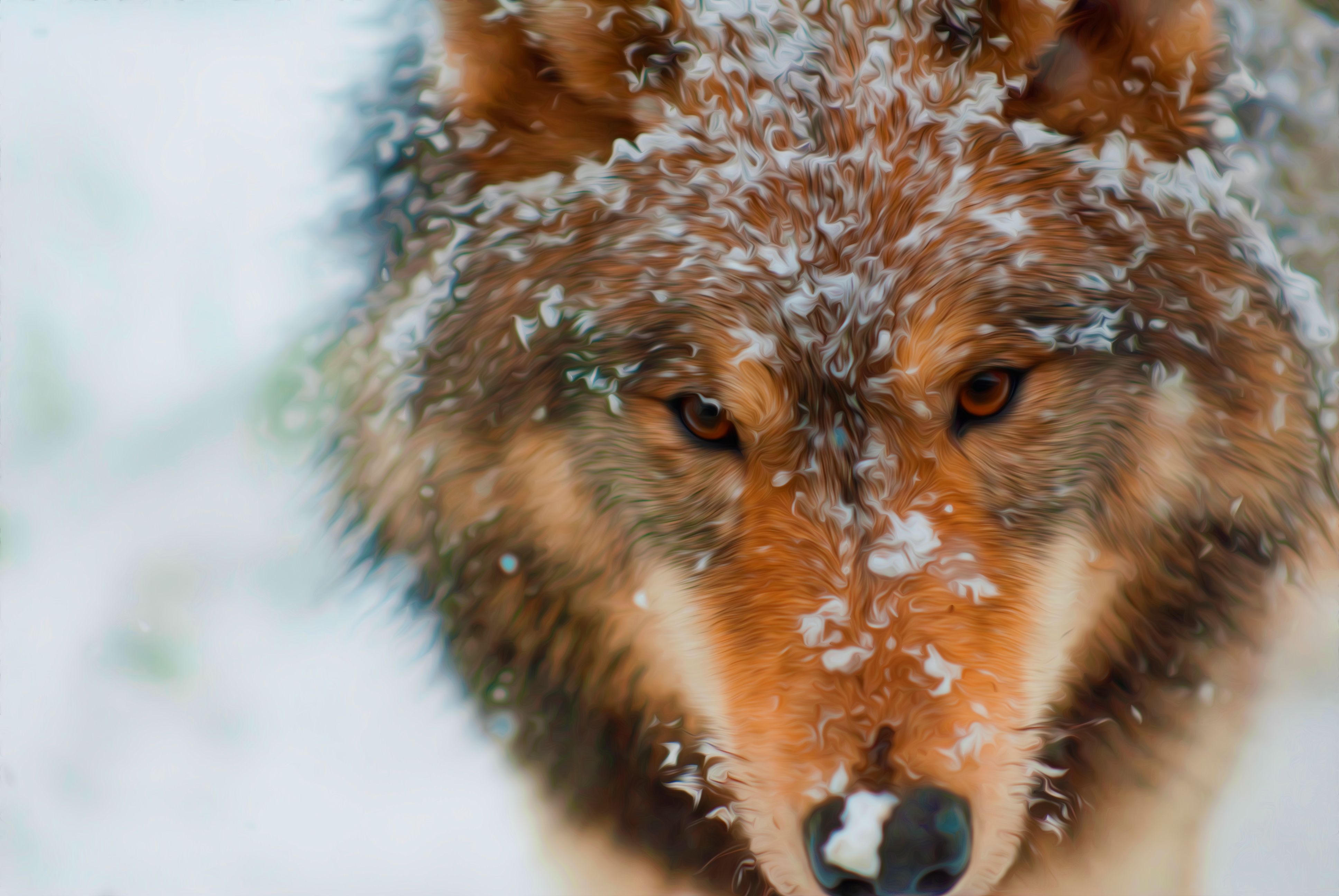 342514 Bild herunterladen tiere, wolf, ölgemälde, wolves - Hintergrundbilder und Bildschirmschoner kostenlos