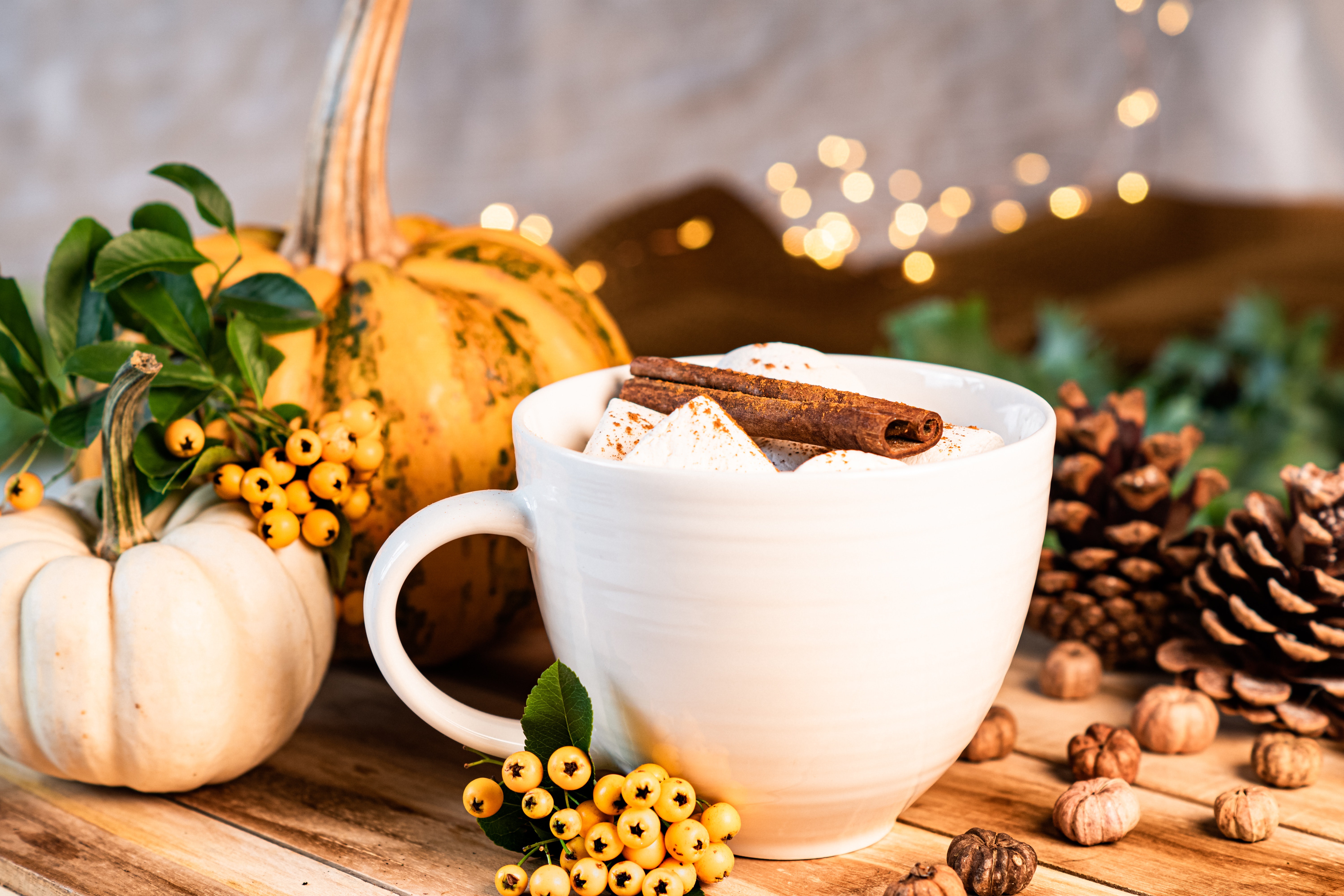 Download mobile wallpaper Food, Pumpkin, Cinnamon, Cup, Marshmallow, Hot Chocolate for free.