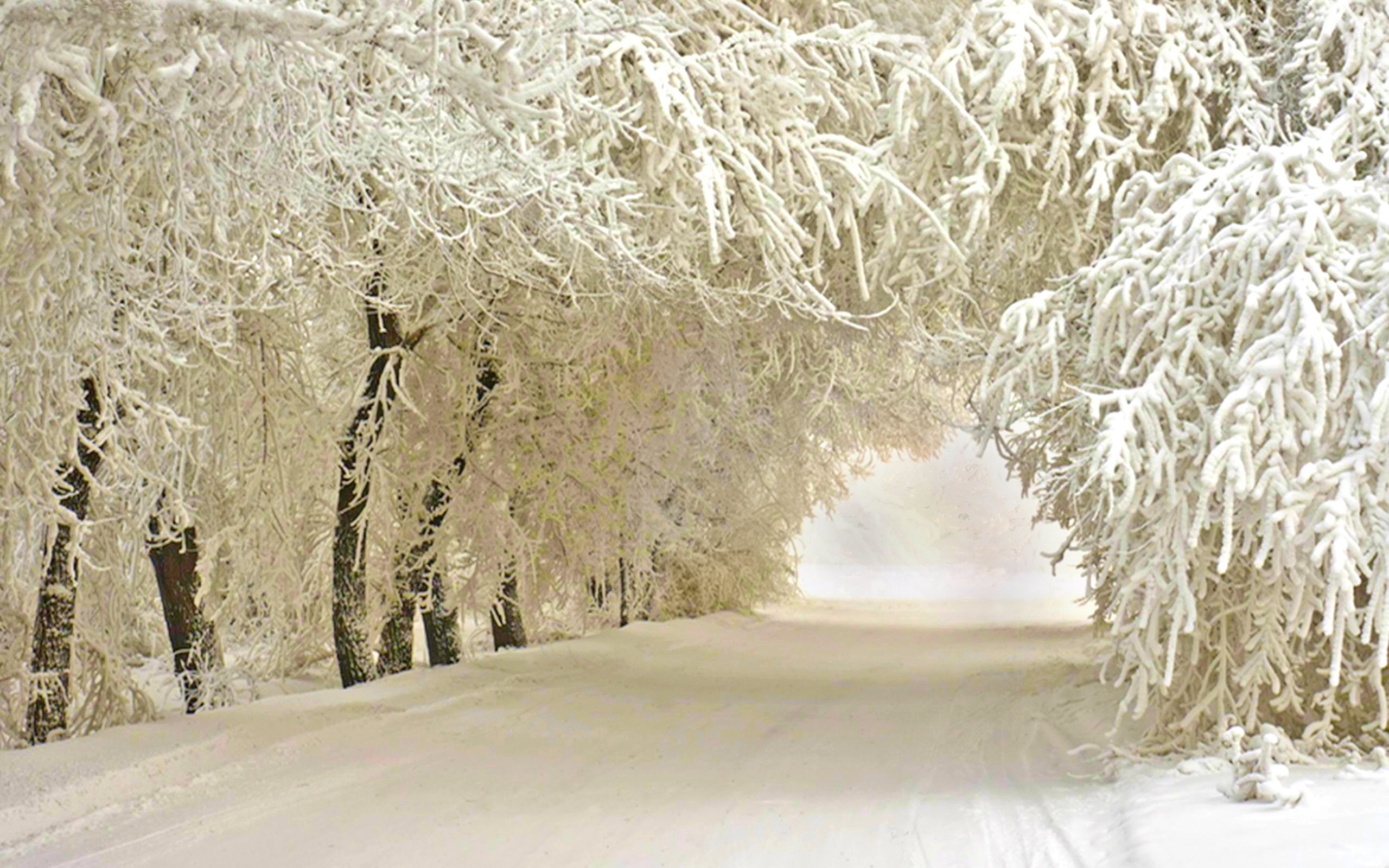 Download mobile wallpaper Winter, Nature, Snow, Road, Earth for free.