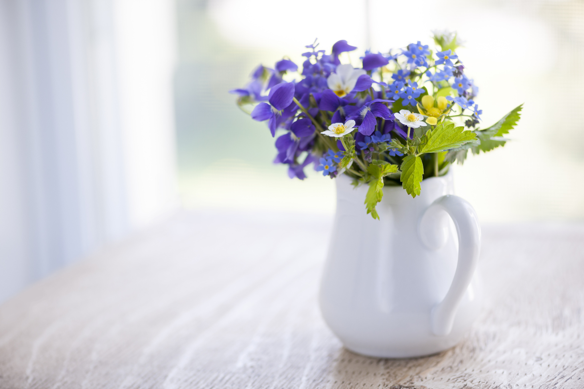 Handy-Wallpaper Sommer, Blume, Vase, Weiße Blume, Lila Blume, Menschengemacht kostenlos herunterladen.