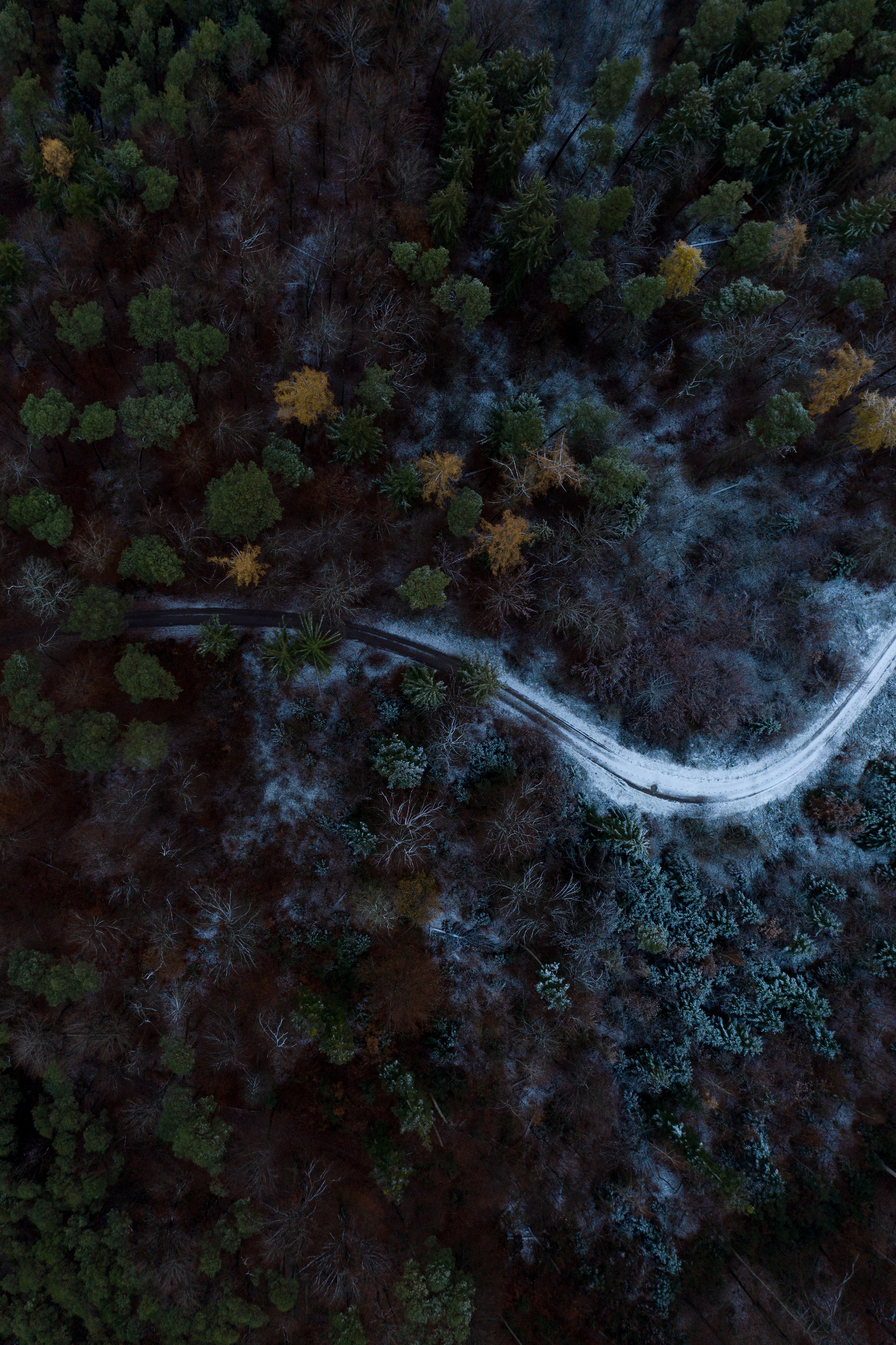 Download mobile wallpaper Trees, Snow, Road, Nature, Forest, View From Above for free.