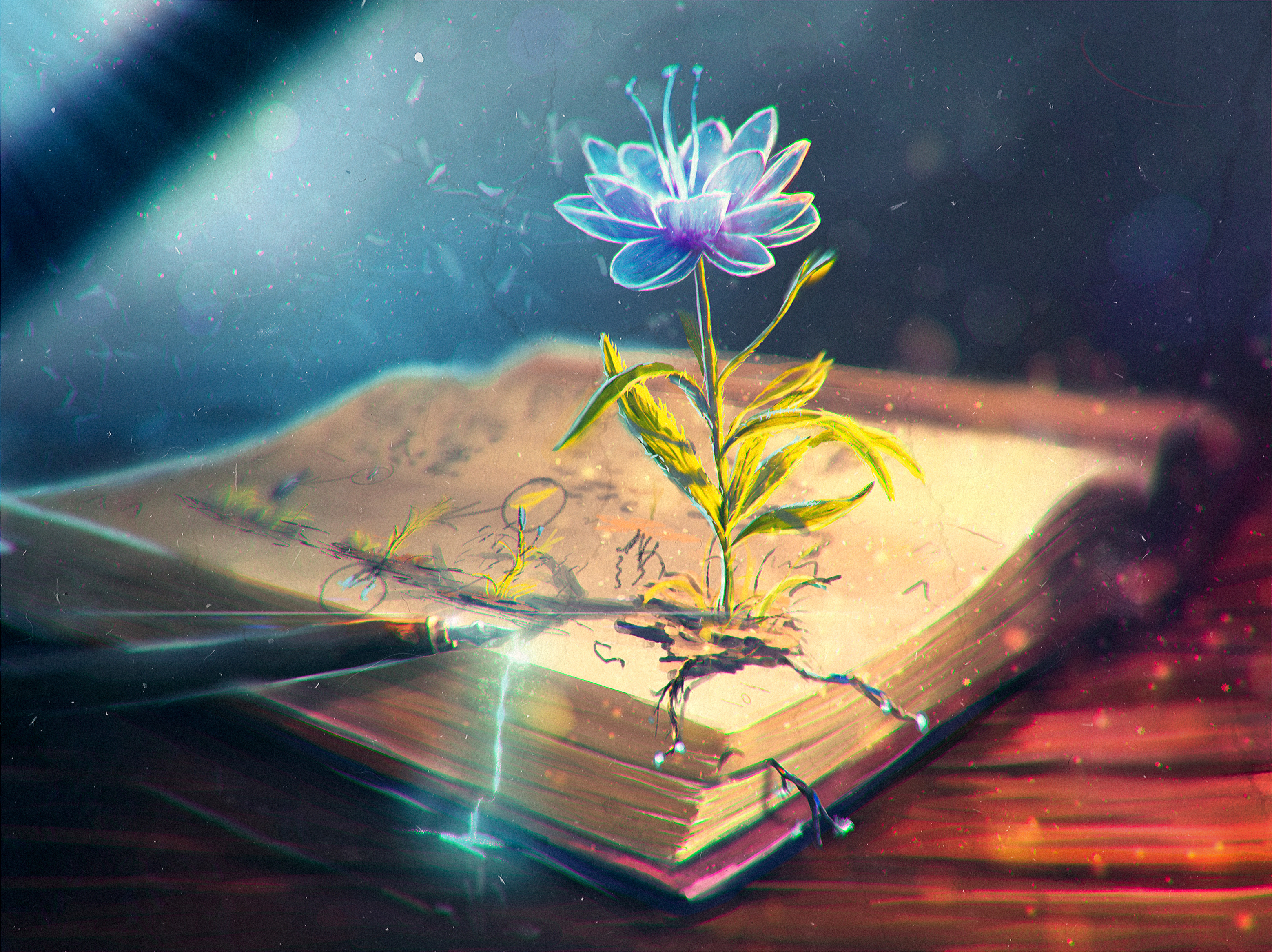 pen, flower, abstract, book, feather QHD