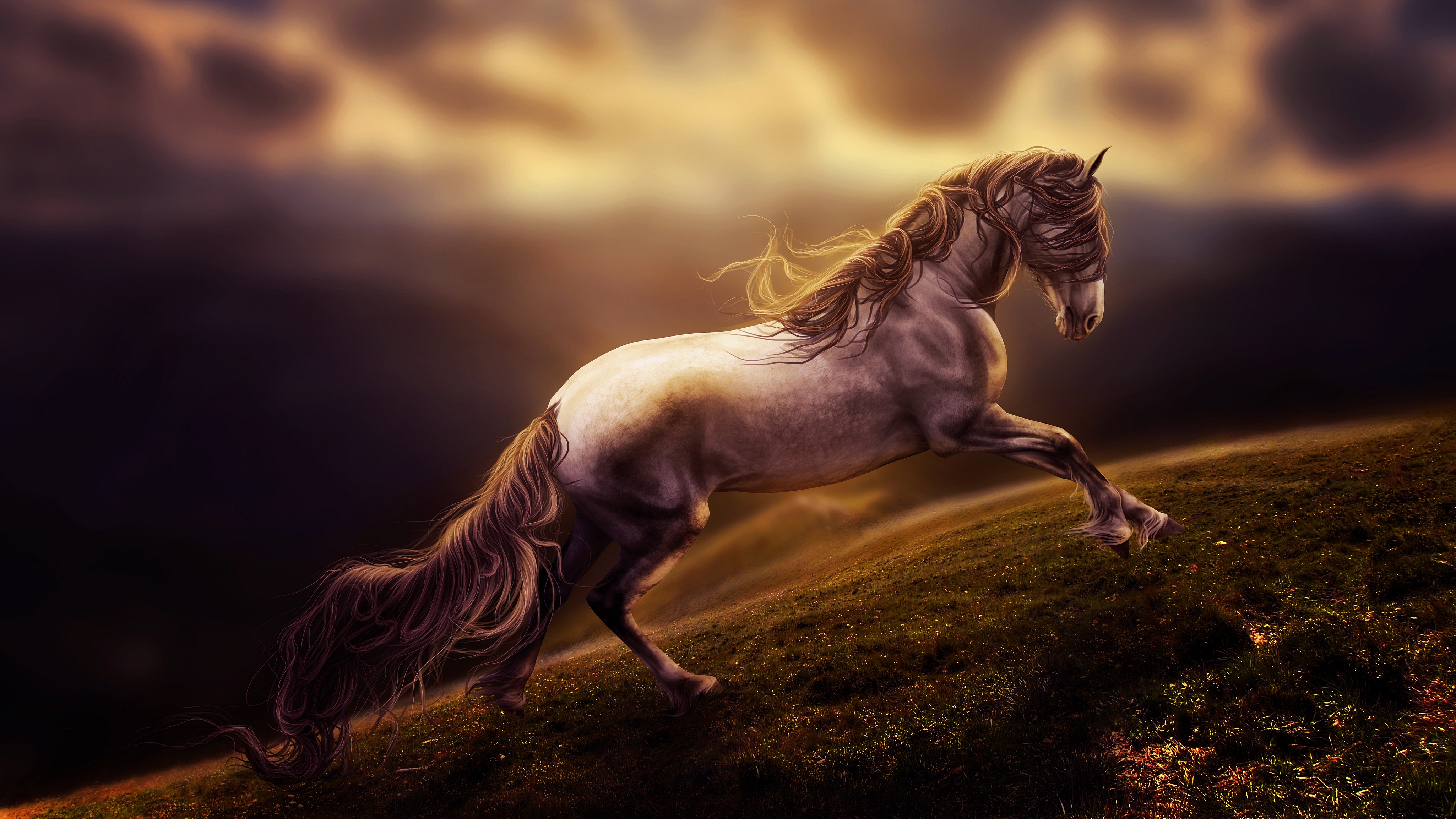 Download mobile wallpaper Animal, Horse for free.