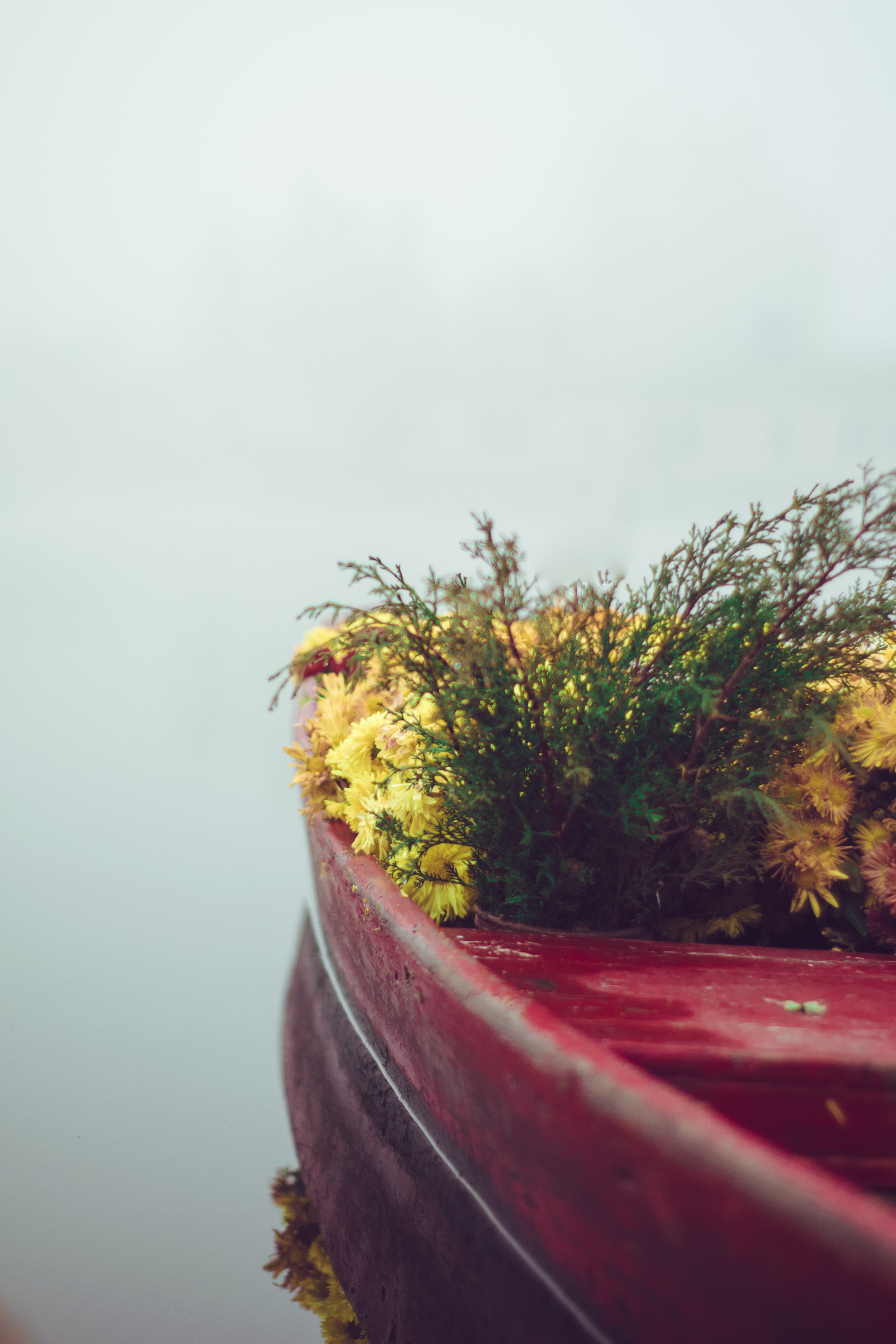 Laden Sie das Nebel, Ein Boot, Boot, Zärtlichkeit, Blumen, Minimalismus-Bild kostenlos auf Ihren PC-Desktop herunter