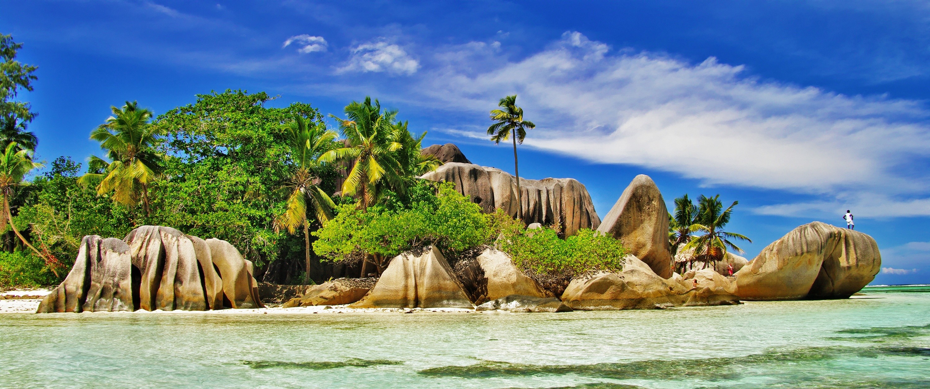 Téléchargez gratuitement l'image Pierre, Tropiques, Lagune, Tropical, Terre/nature, Palmier sur le bureau de votre PC