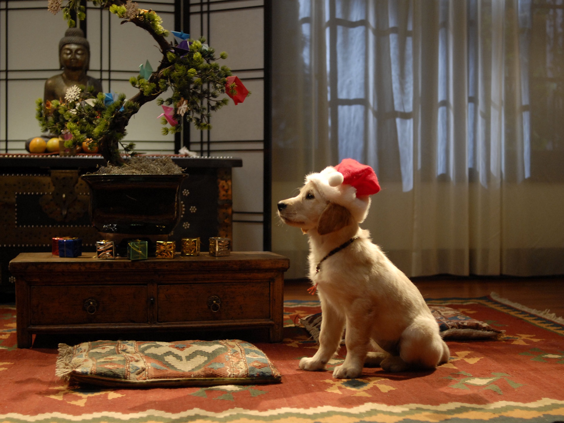 Download mobile wallpaper Santa Buddies, Dog, Movie for free.
