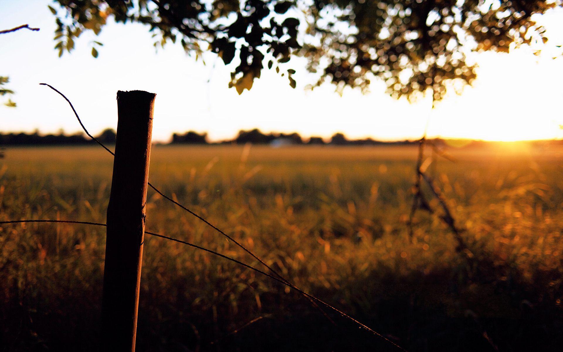 Free download wallpaper Landscape, Sunset, Sun, Sunrise, Earth, Field, Scenic on your PC desktop