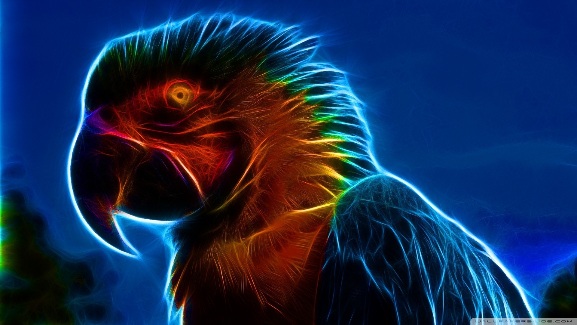Free download wallpaper Birds, Animal, Macaw on your PC desktop