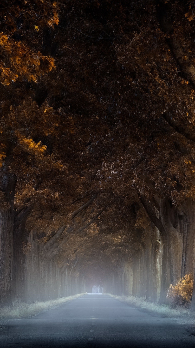 Download mobile wallpaper Road, Fog, Man Made for free.