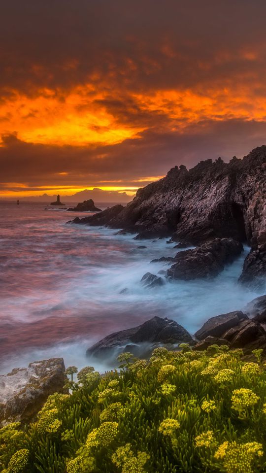 Descarga gratuita de fondo de pantalla para móvil de Horizonte, Flor, Costa, Océano, Tierra, Atardecer, Tierra/naturaleza, Puesta De Sol.