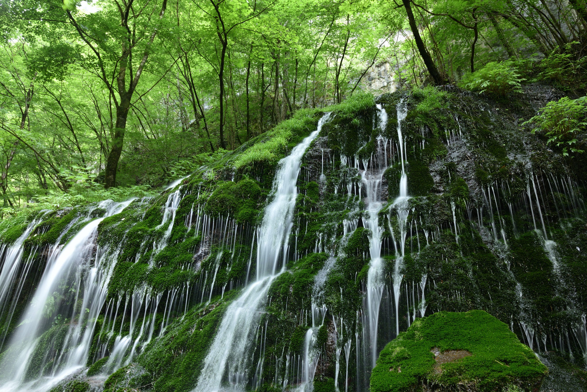 Download mobile wallpaper Nature, Waterfalls, Waterfall, Earth, Moss, Greenery for free.